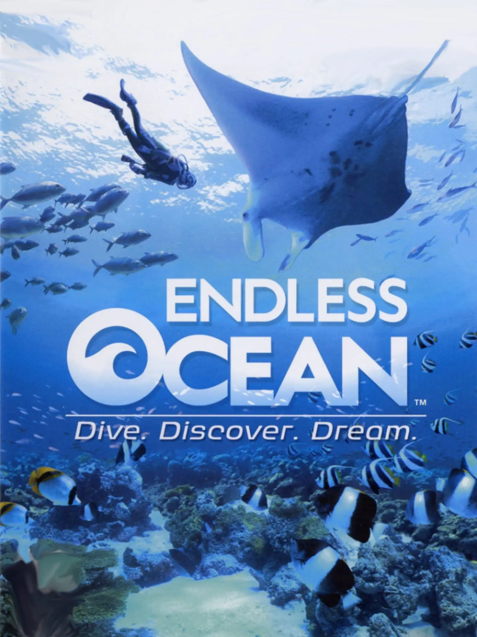 Picture of Endless Ocean