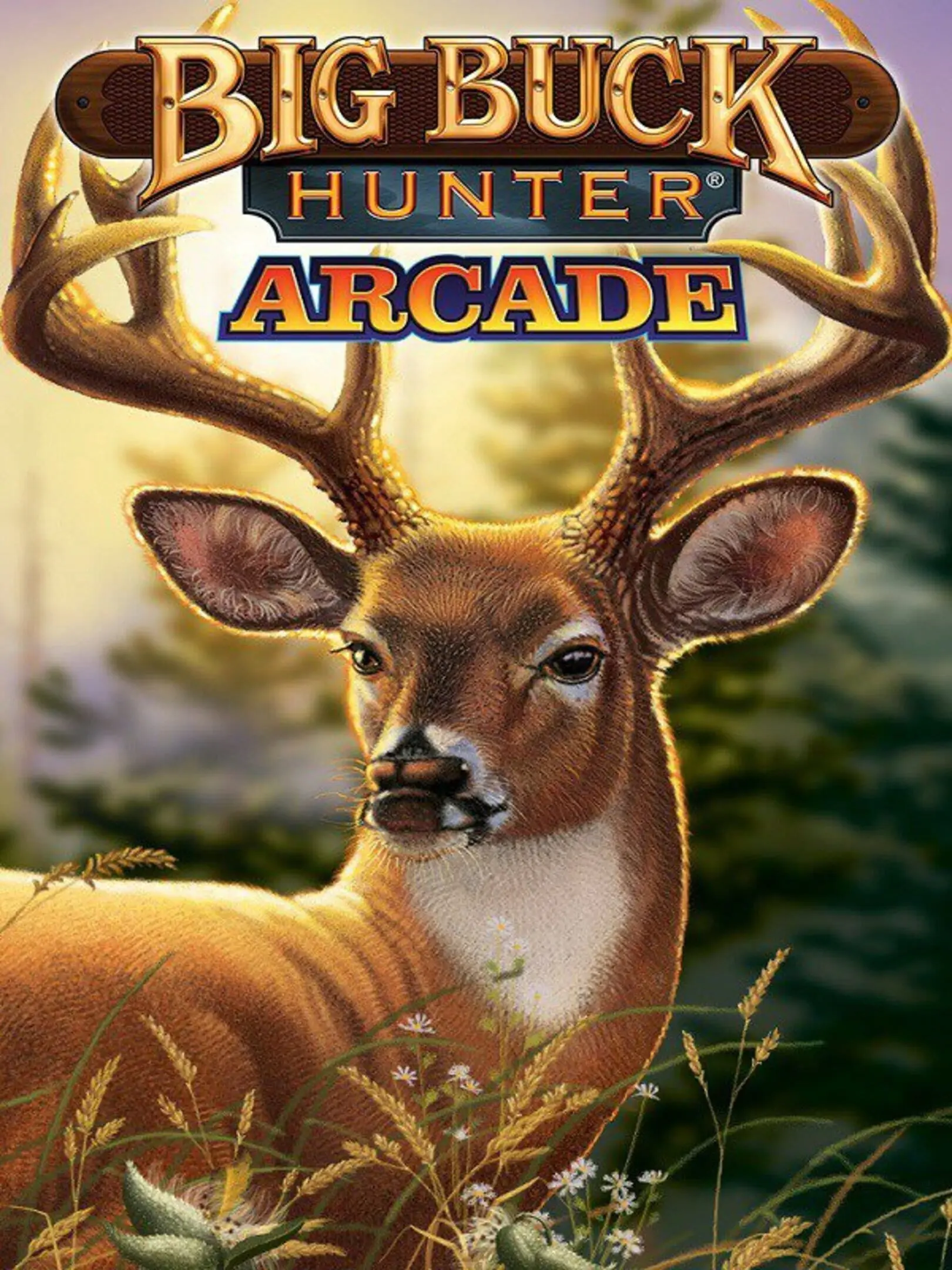 Picture of Big Buck Hunter Arcade