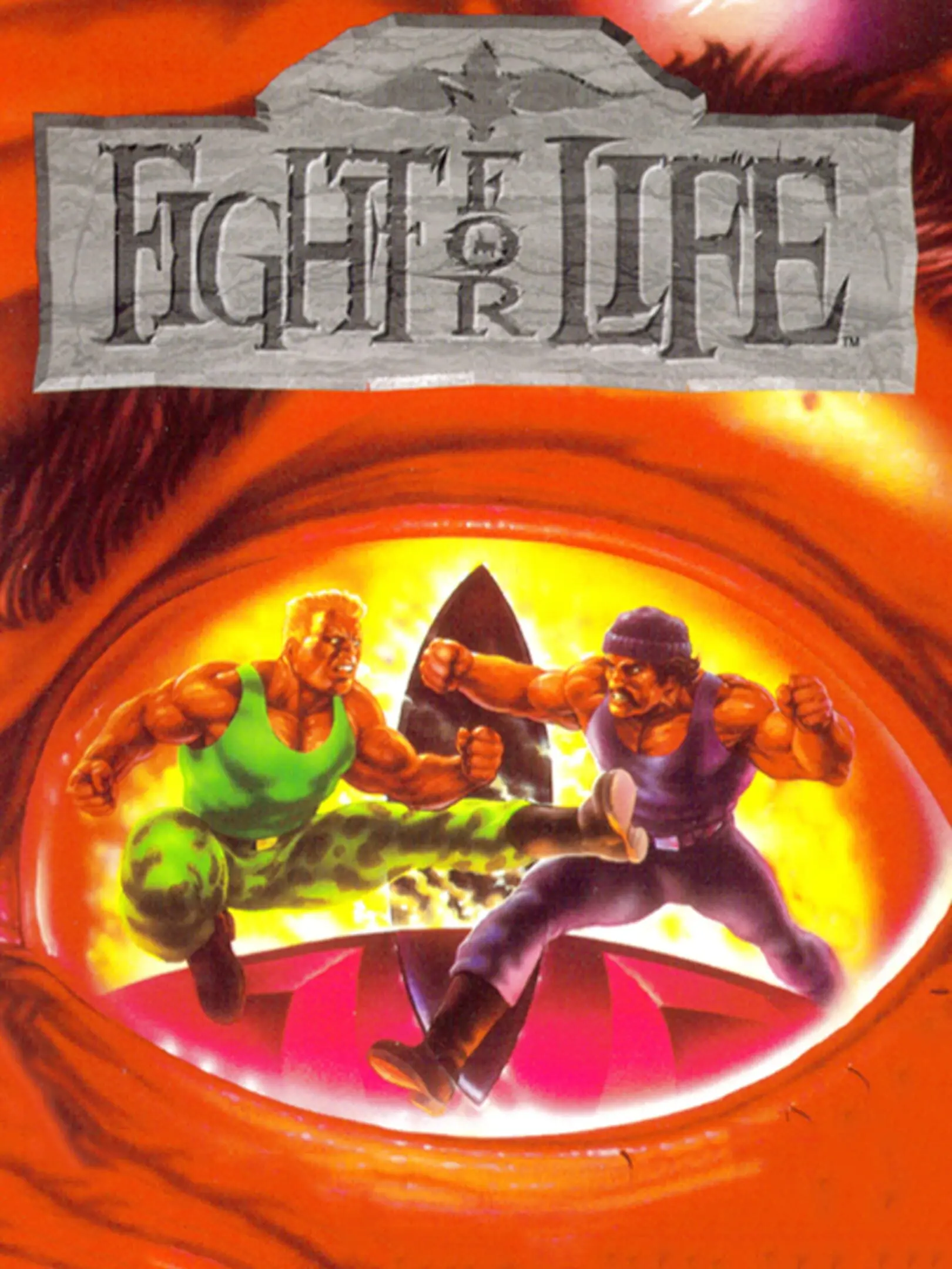 Picture of Fight For Life