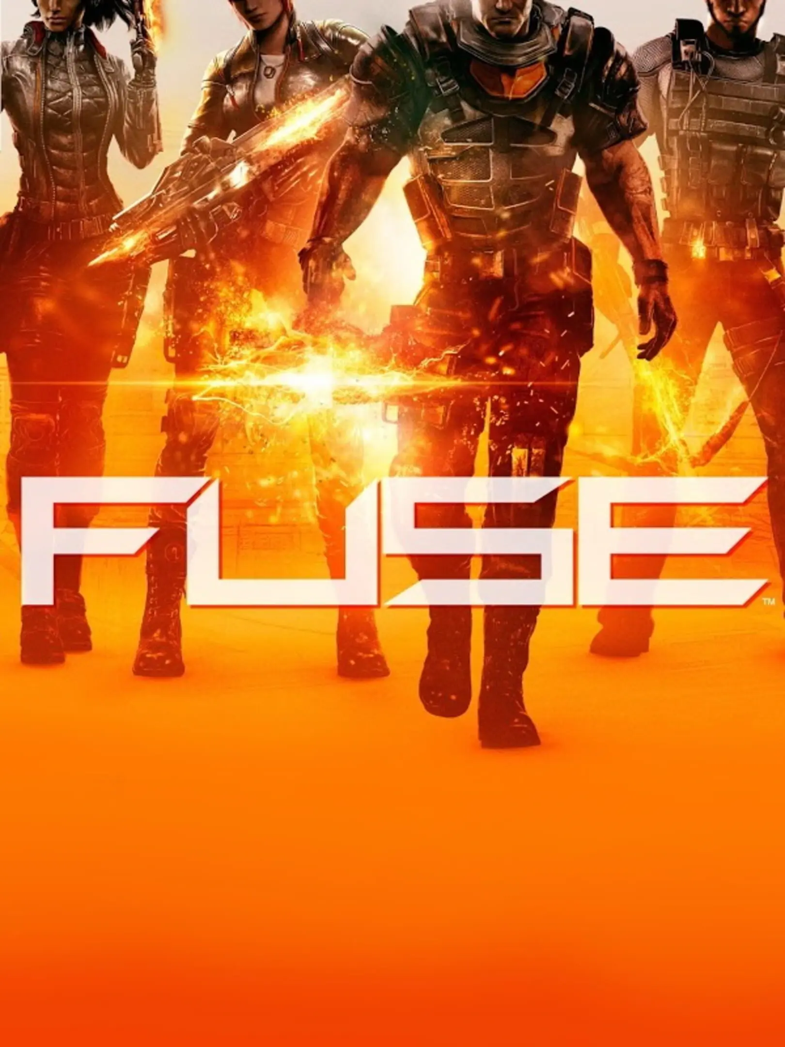 Picture of Fuse