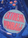 Picture of Extreme Pinball