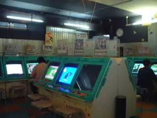 Picture of Canary 14