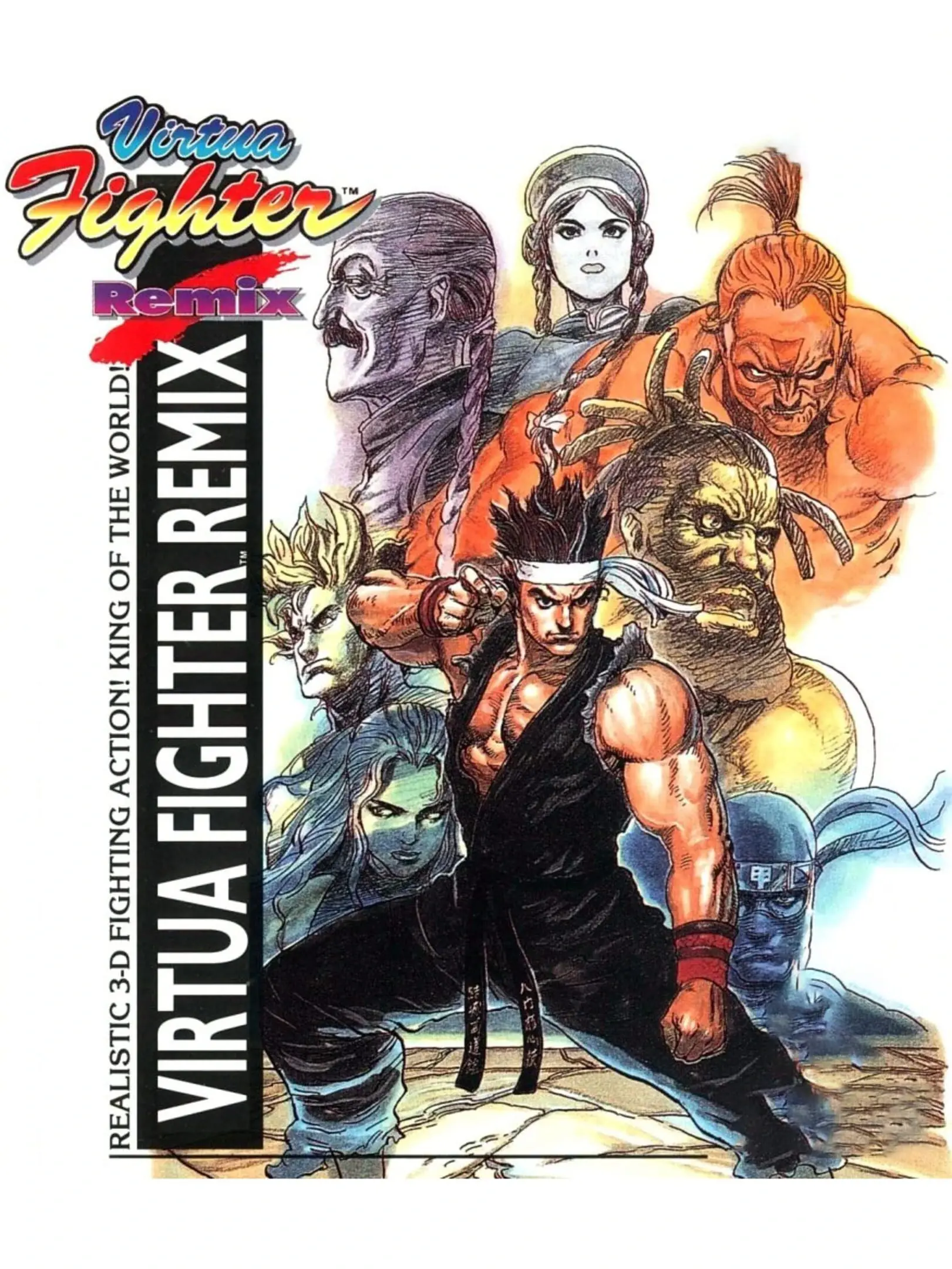 Picture of Virtua Fighter Remix (2)