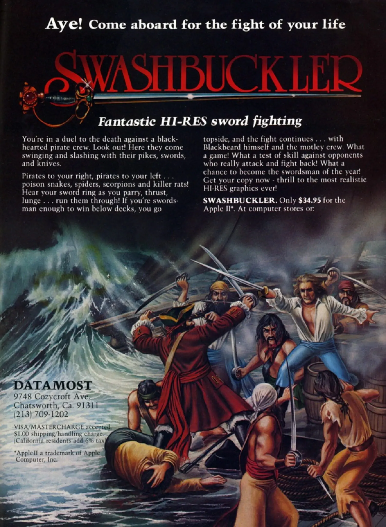 Picture of Swashbuckler