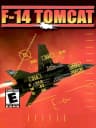 Picture of F-14 Tomcat