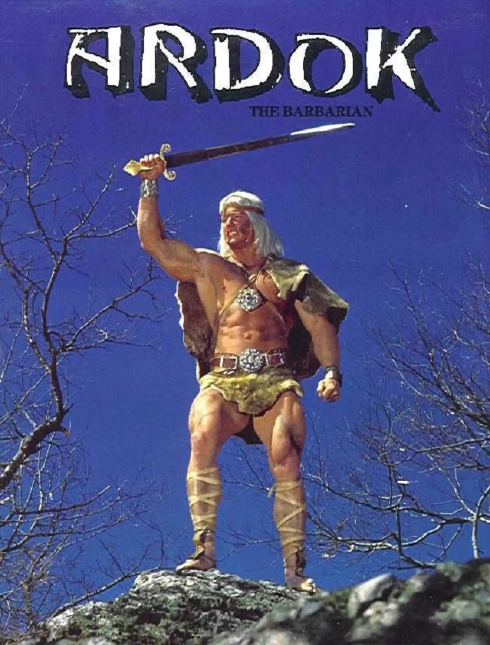 Picture of Ardok the Barbarian