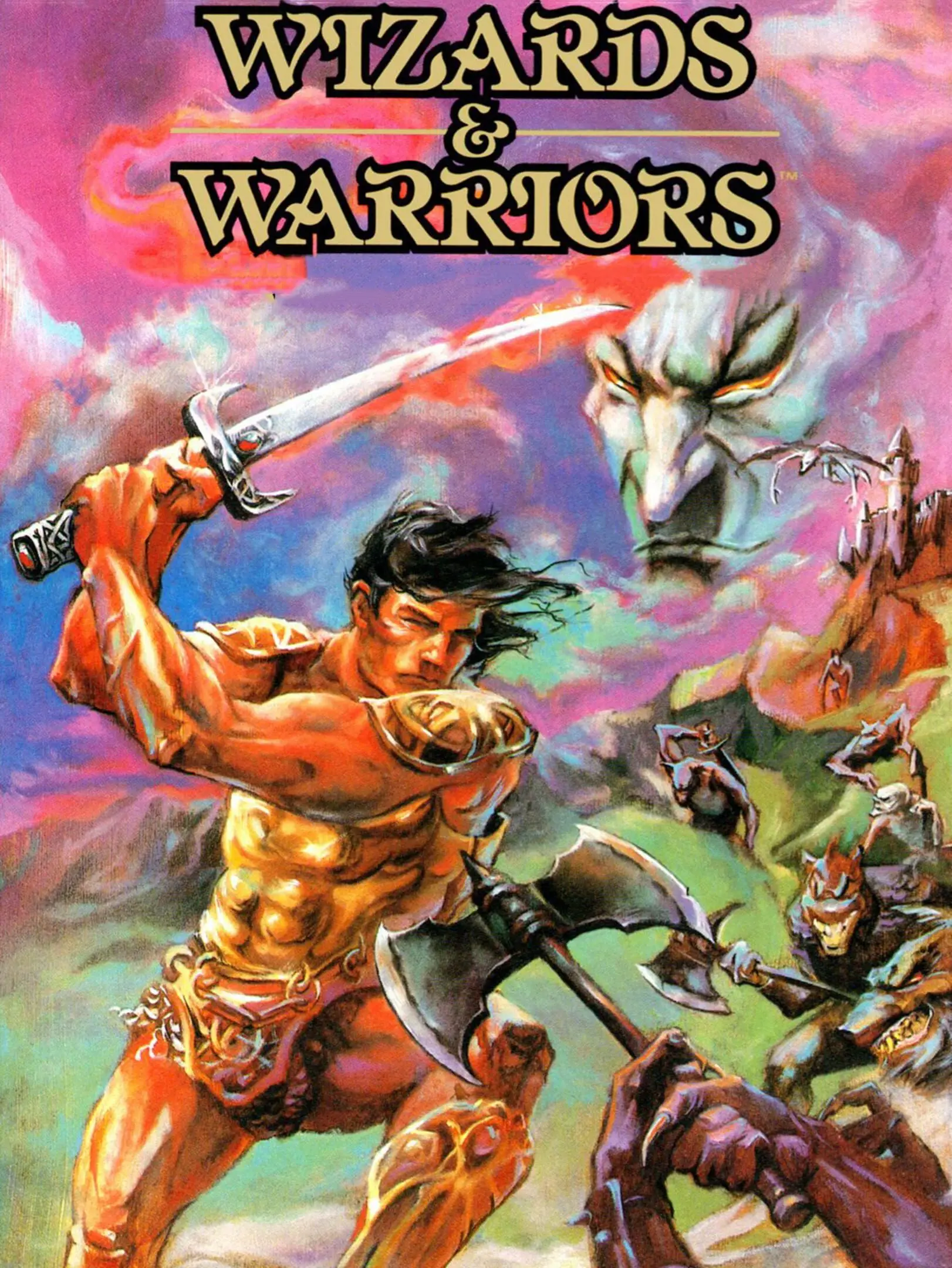 Picture of Wizards & Warriors