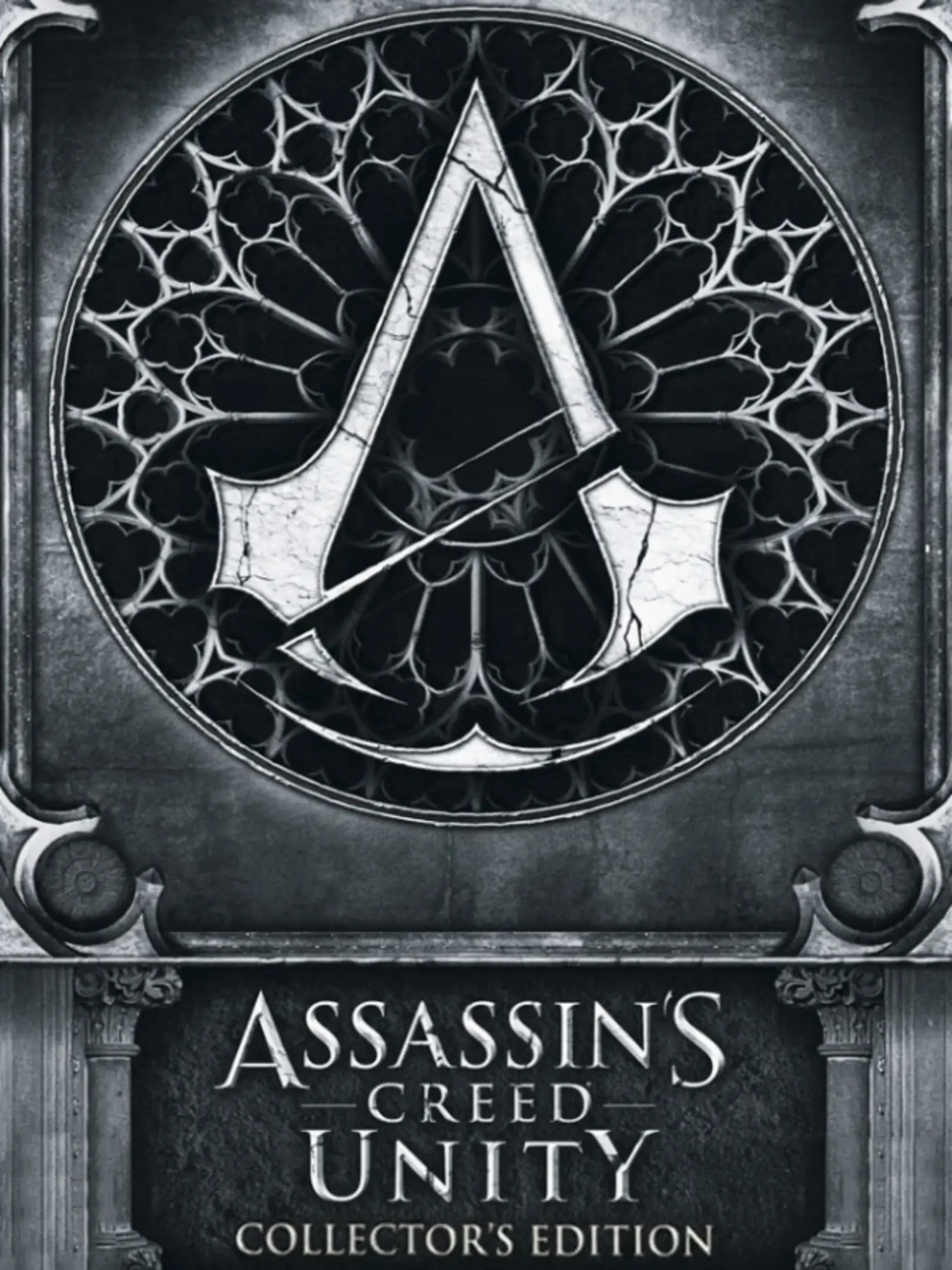 Assassin's Creed Unity