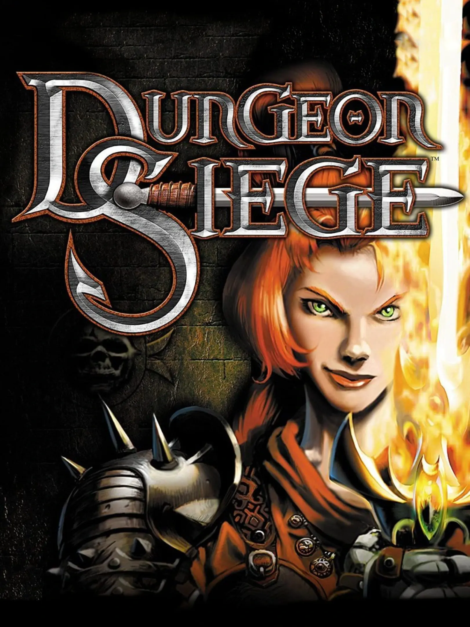 Picture of Dungeon Siege