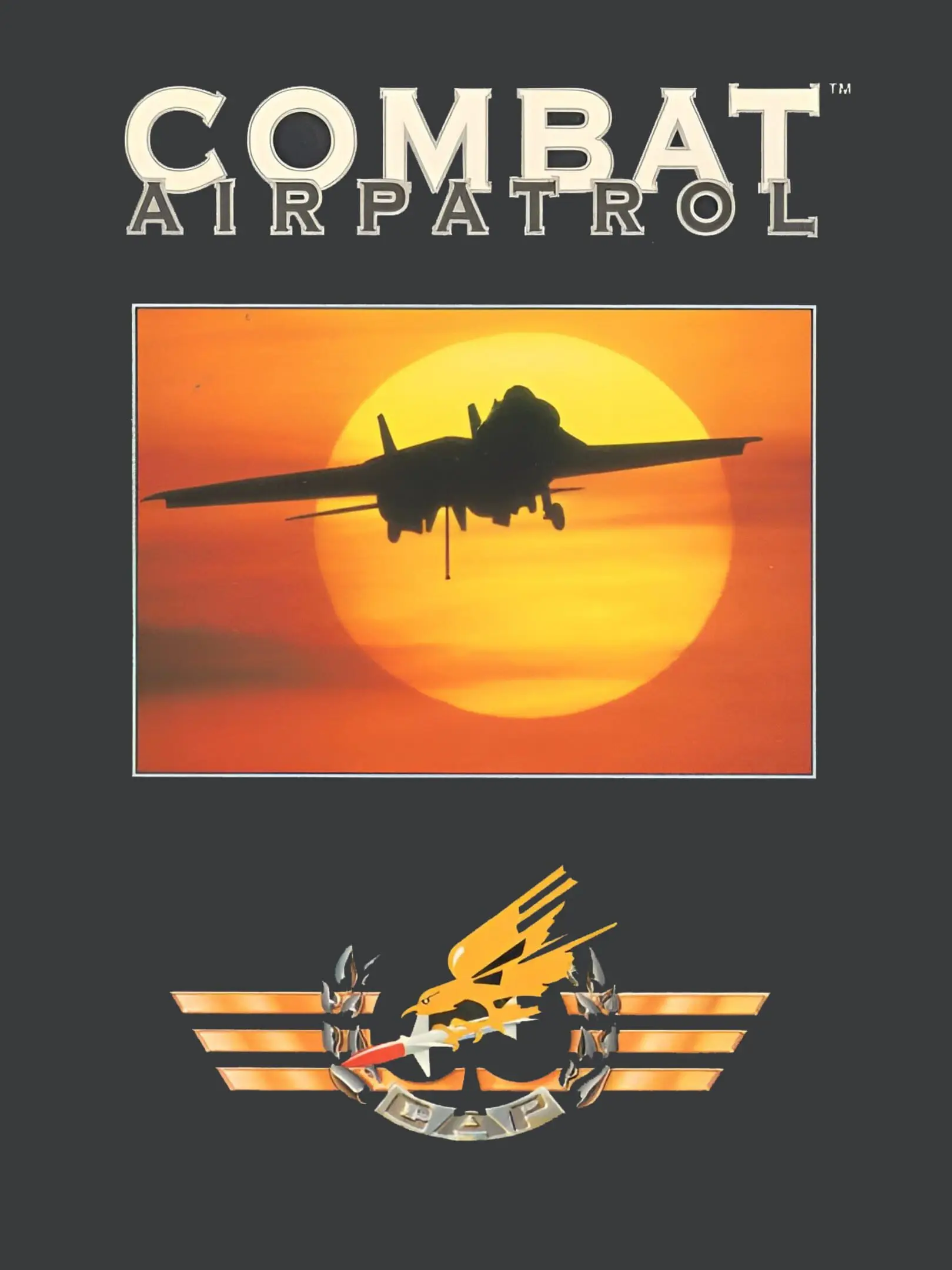 Picture of Combat Air Patrol