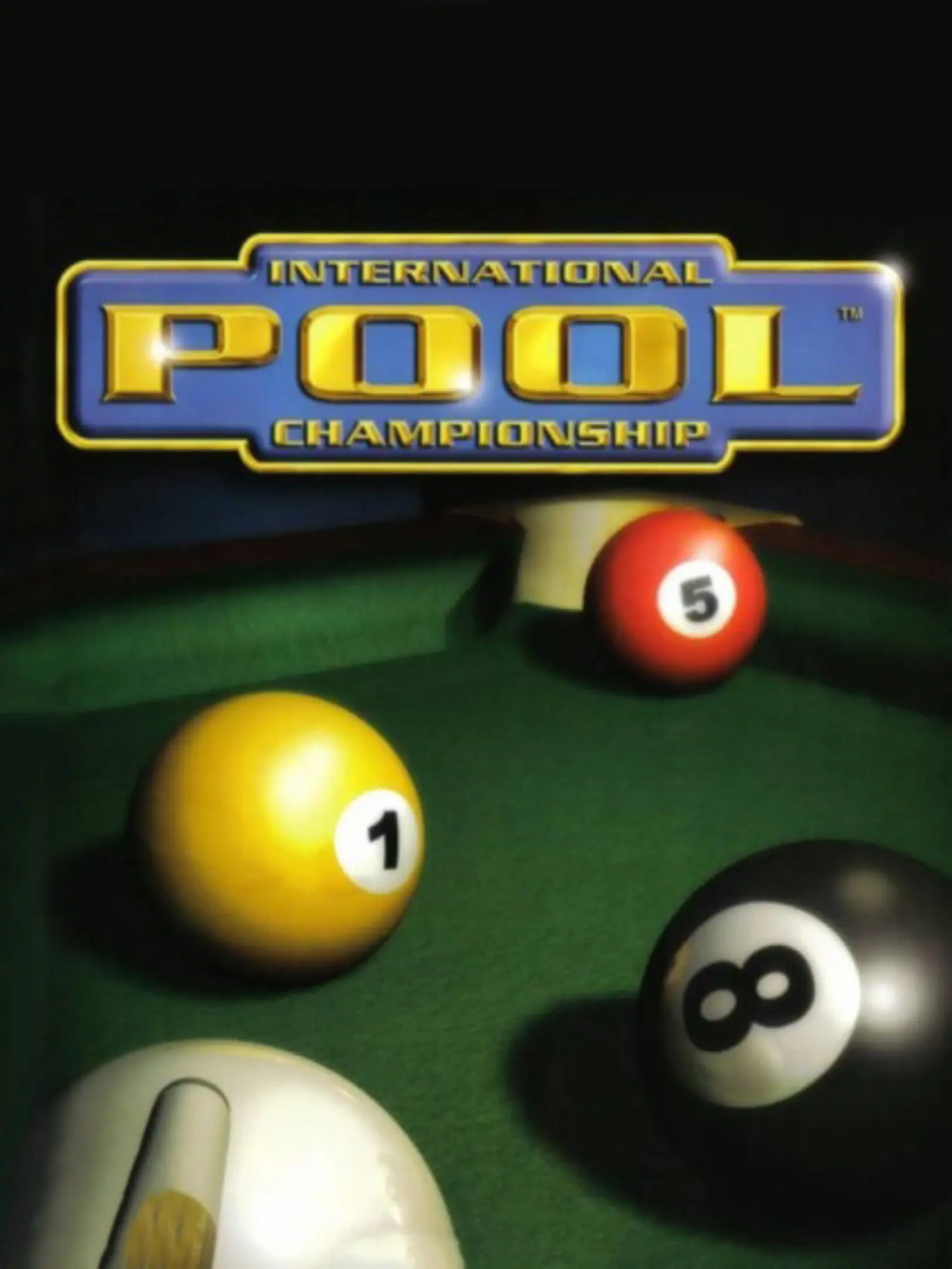 Picture of International Pool Championship