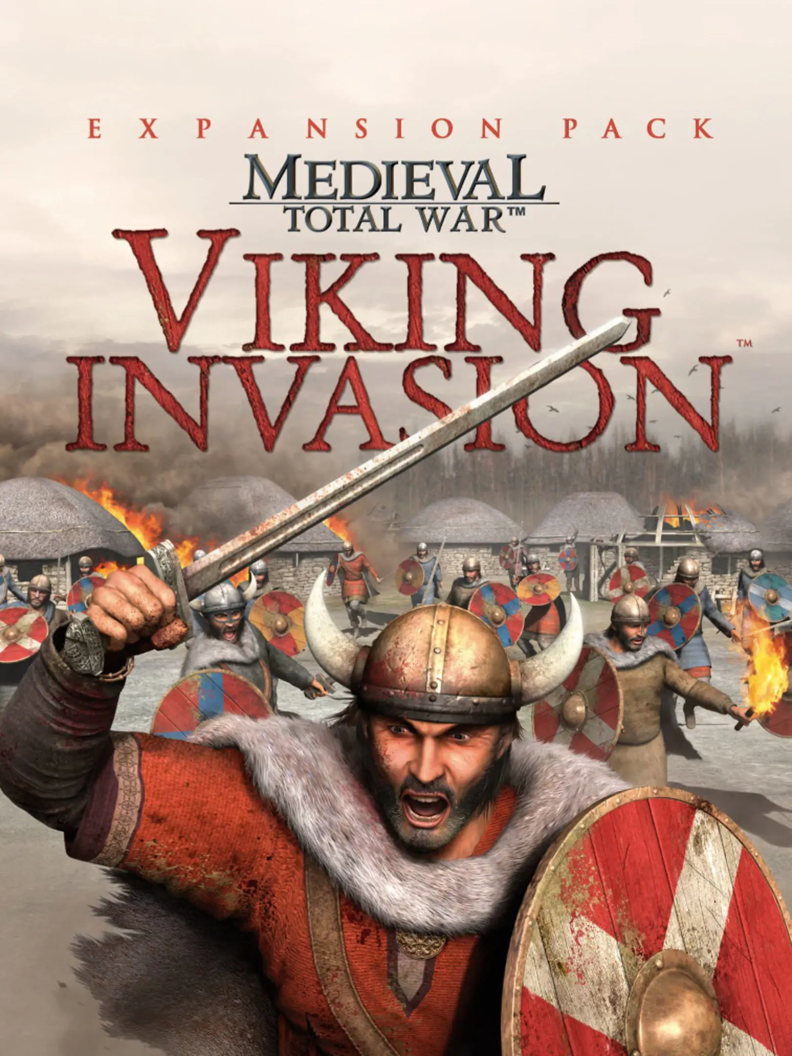 Picture of Medieval: Total War Viking Invasion