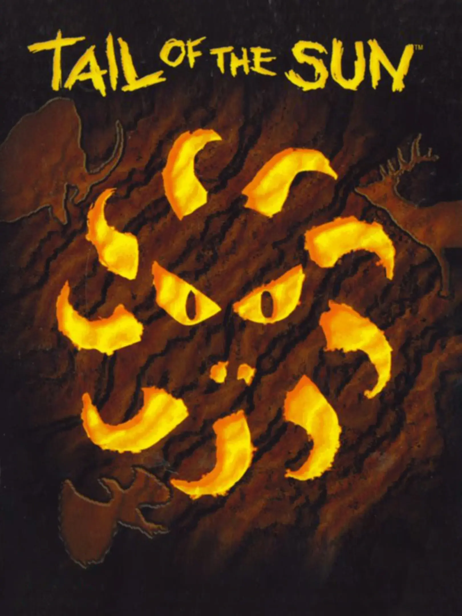 Picture of Tail of the Sun