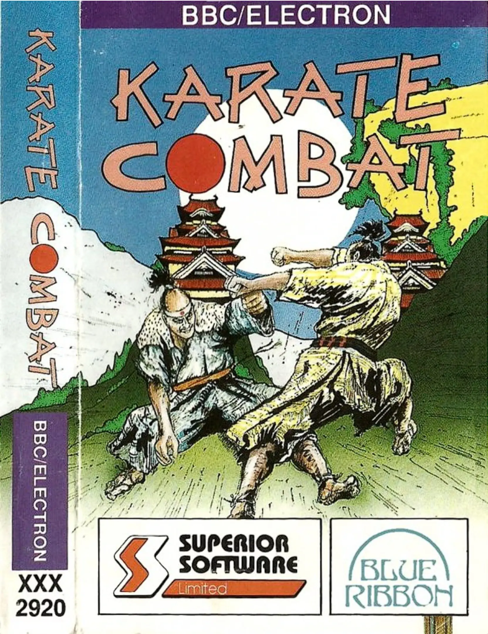 Picture of Karate Combat