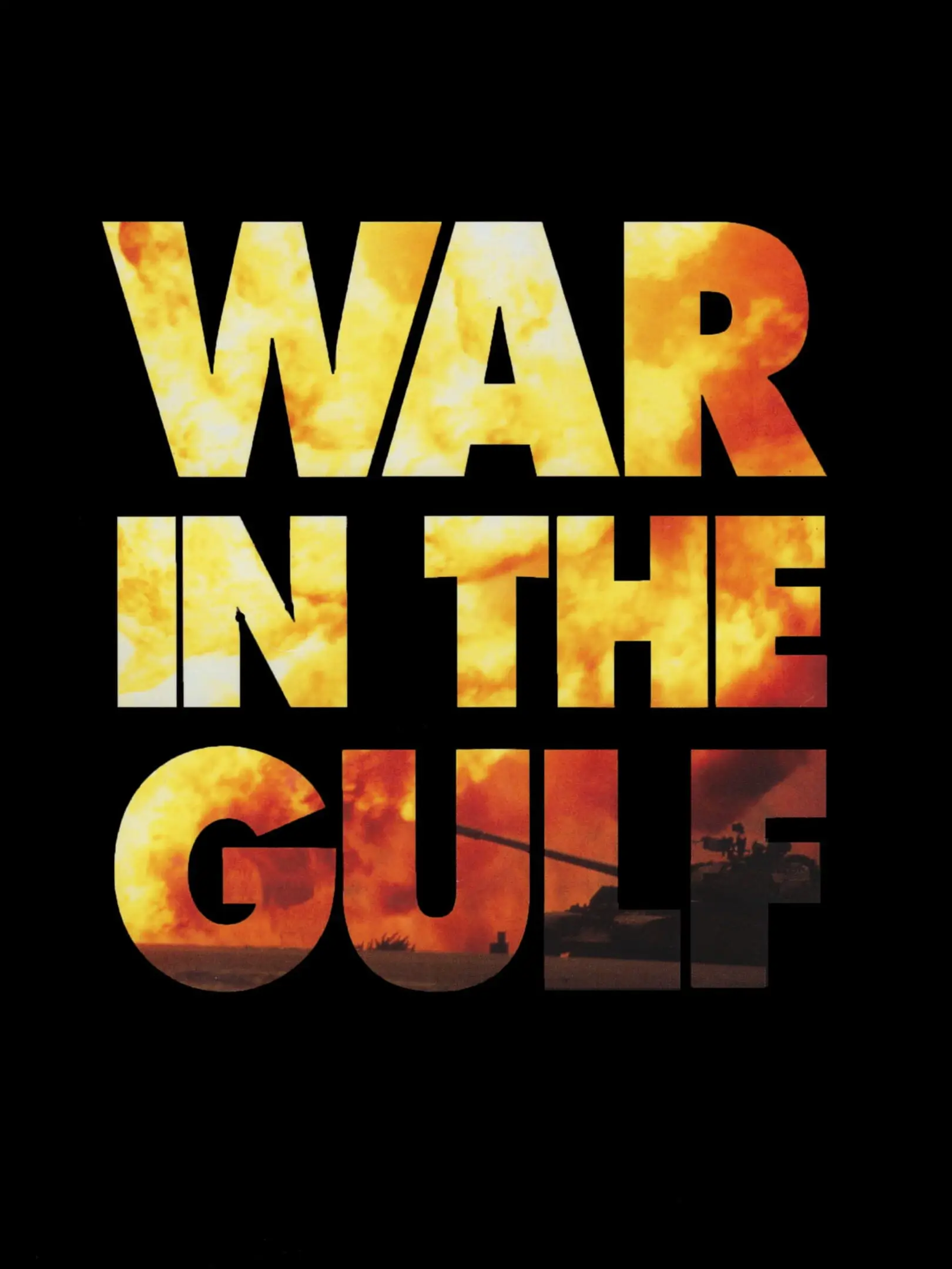 Picture of War in the Gulf