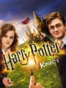 Picture of Harry Potter für Kinect