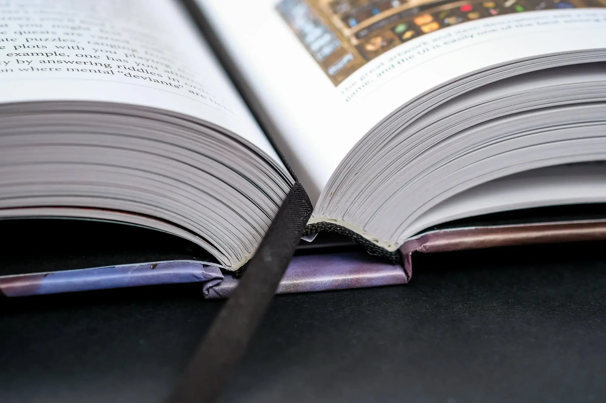 Picture of The CRPG Book: A Guide to Computer Role-Playing Games 4