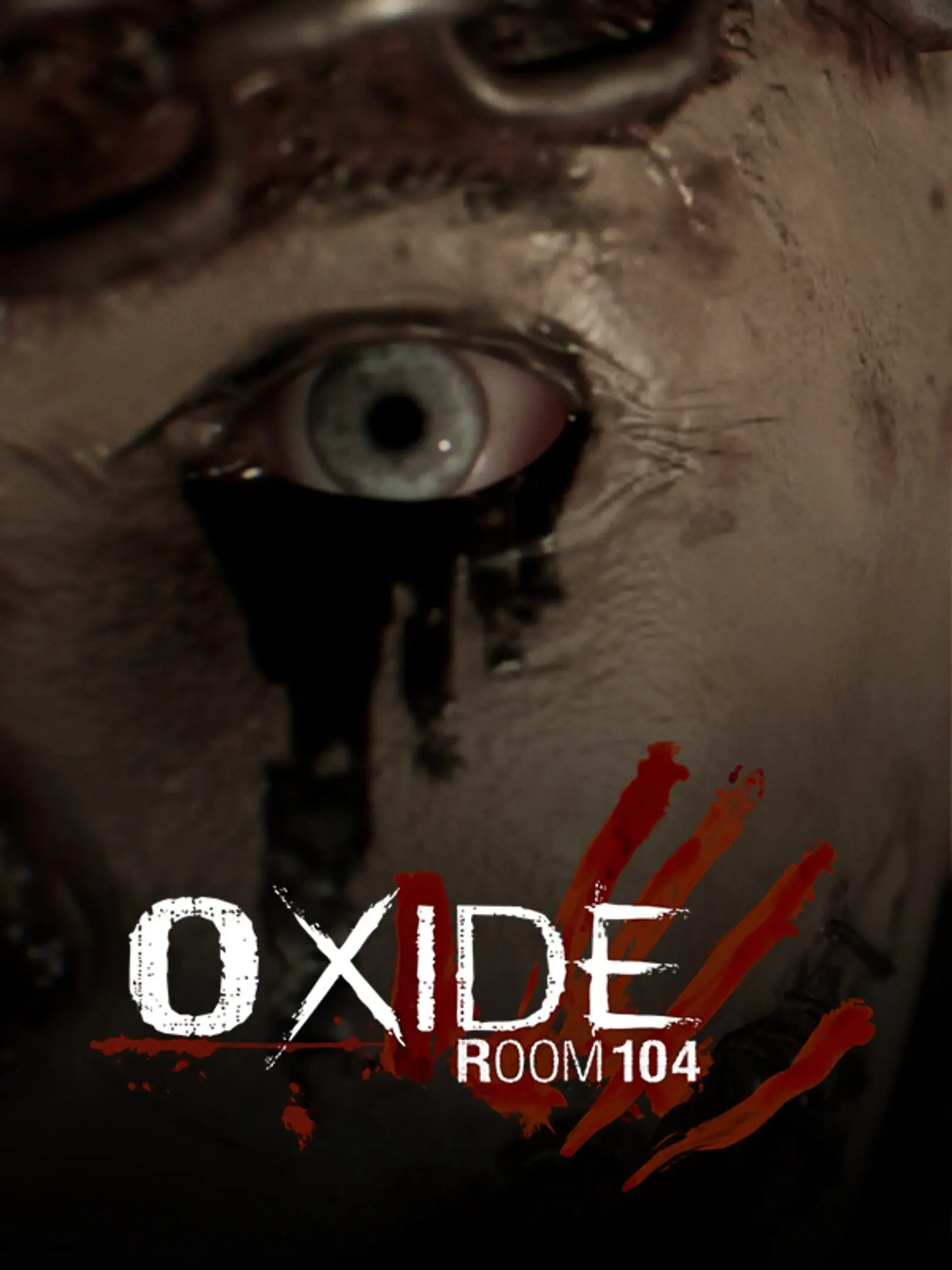 Picture of Oxide Room 104