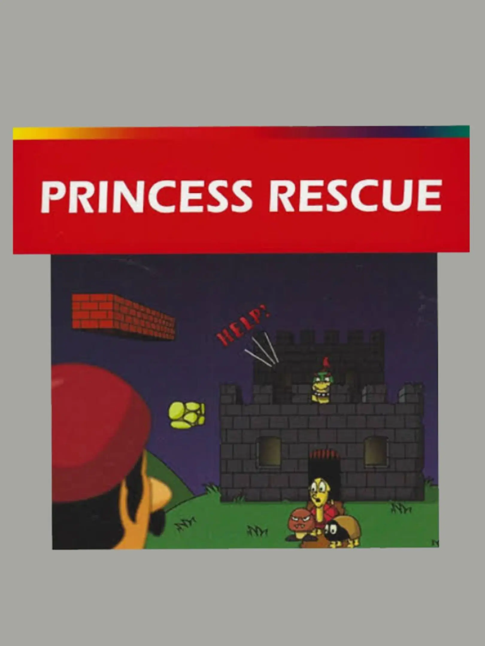 Picture of Princess Rescue