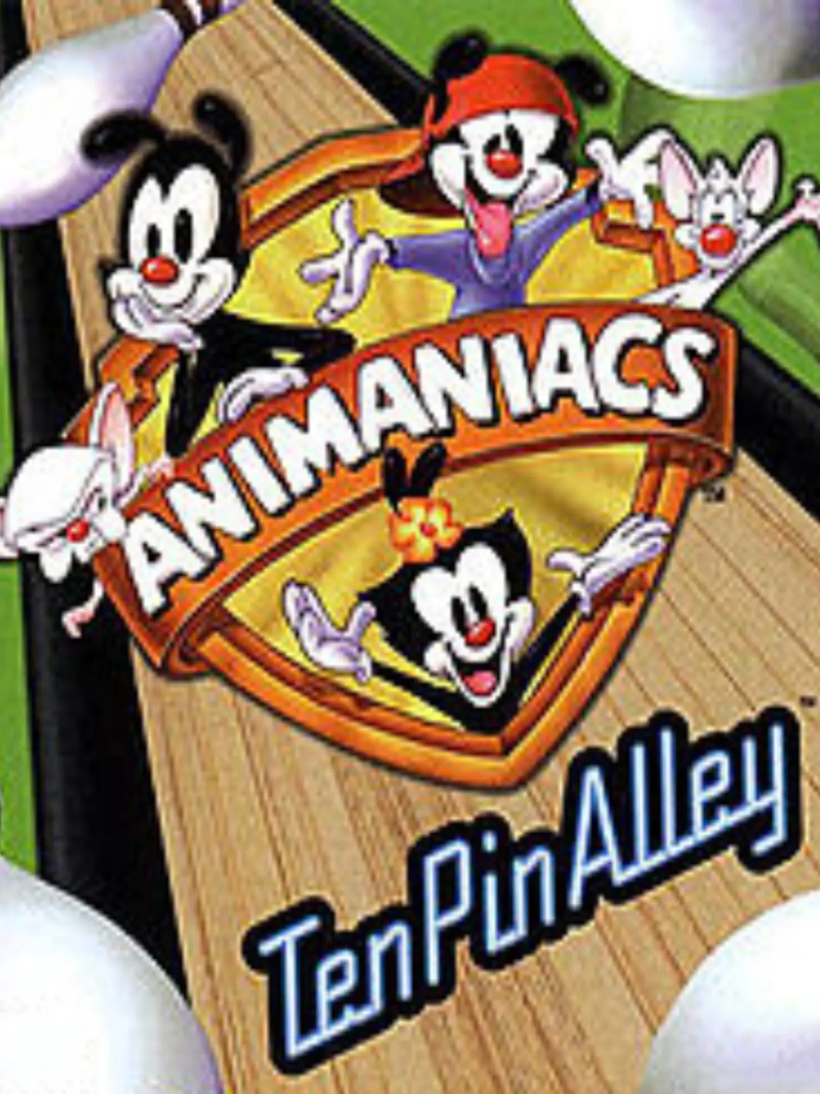 Picture of Animaniacs Ten Pin Alley