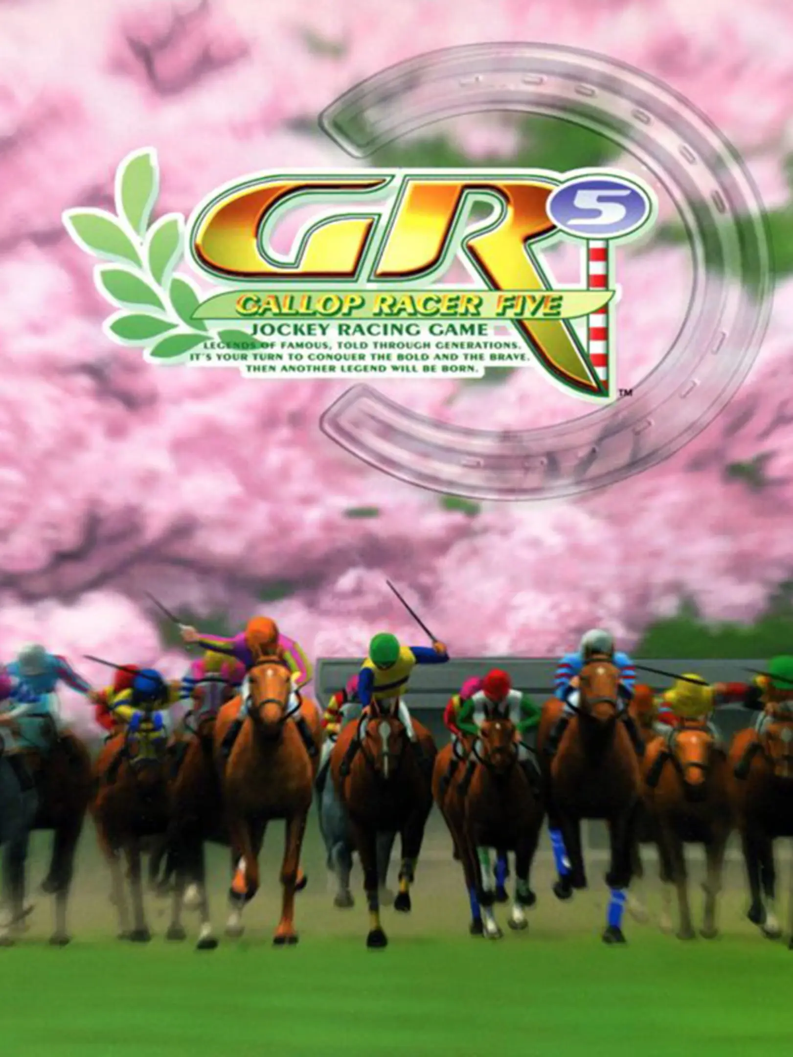 Picture of Gallop Racer 2001 2