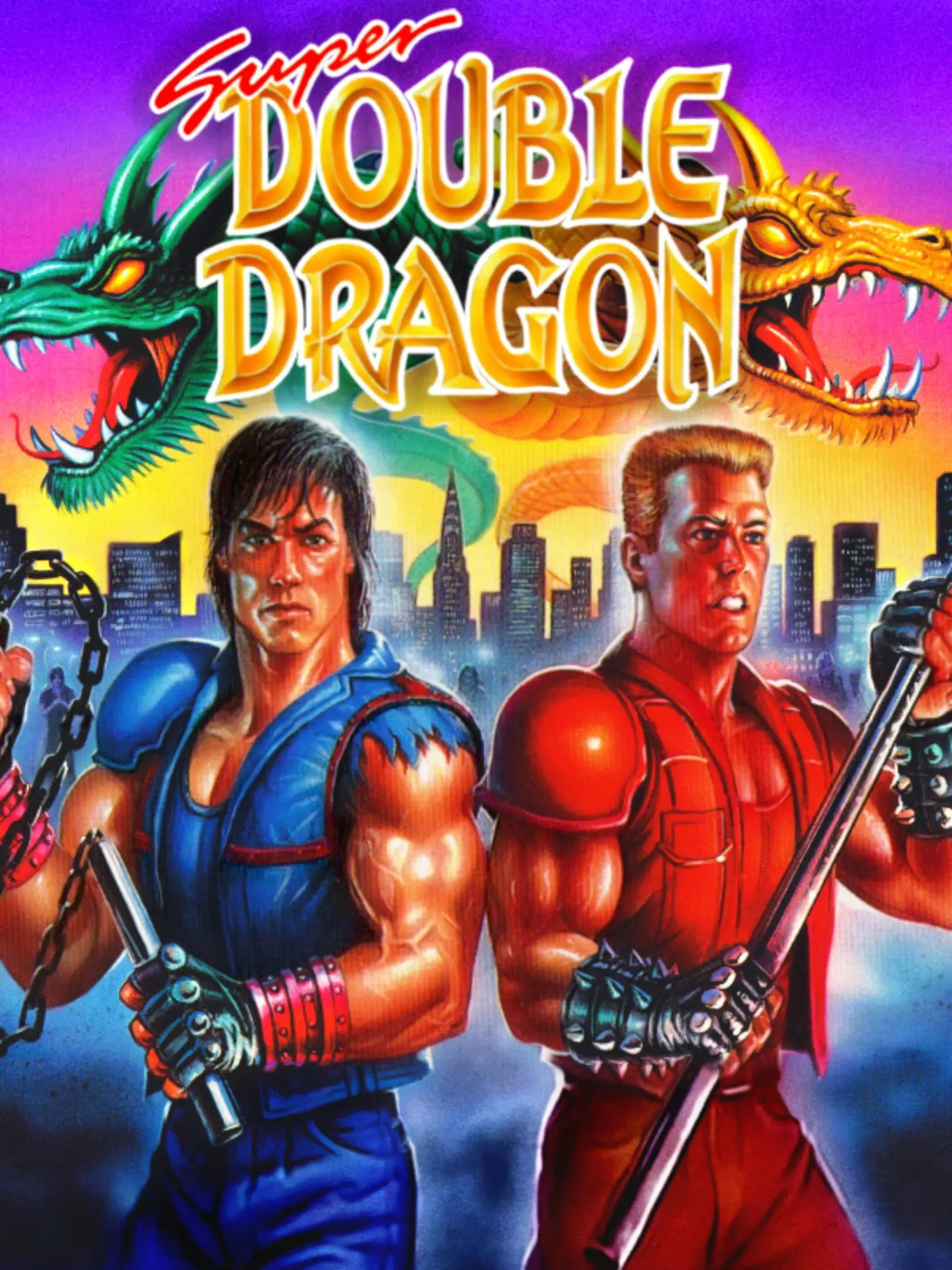 Picture of Super Double Dragon