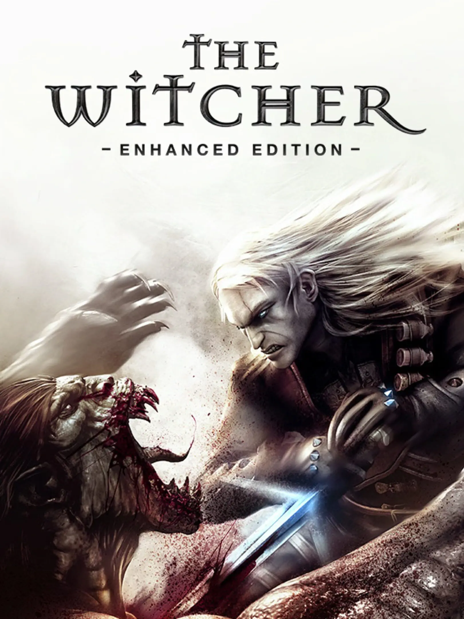 The Witcher
