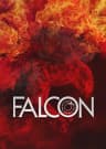 Picture of Falcon