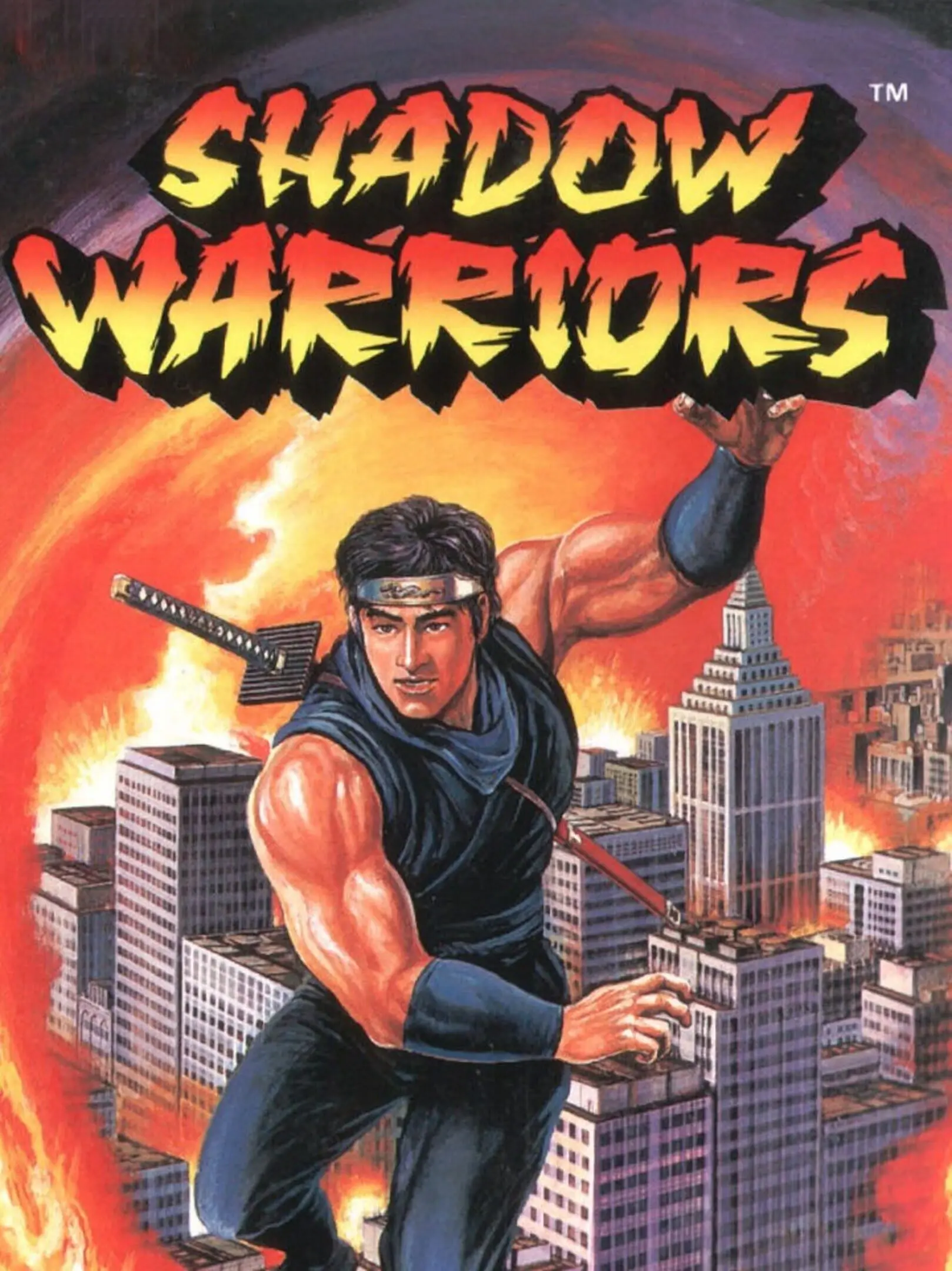 Picture of Shadow Warriors (2)
