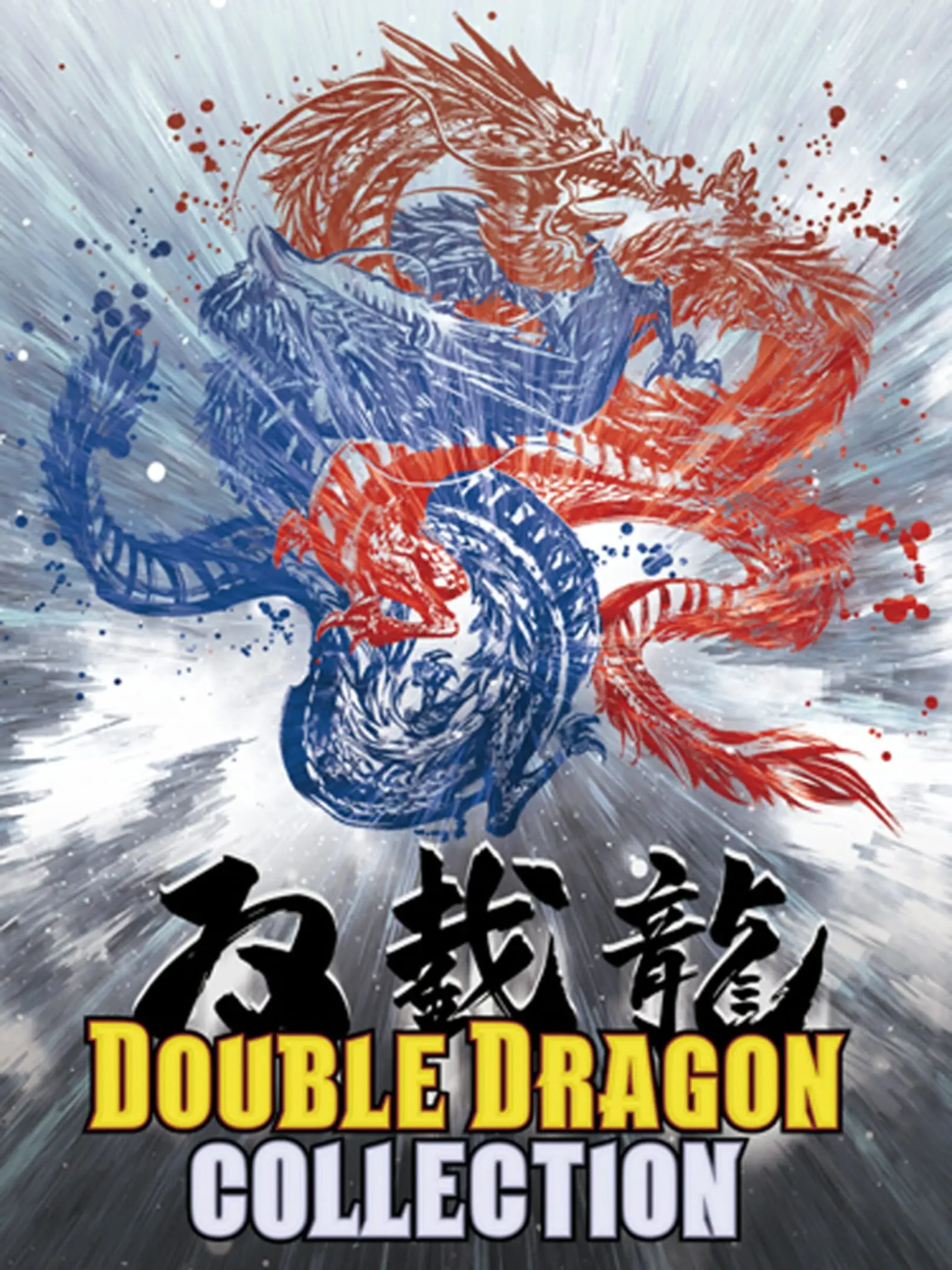 Picture of Double Dragon Collection (3)