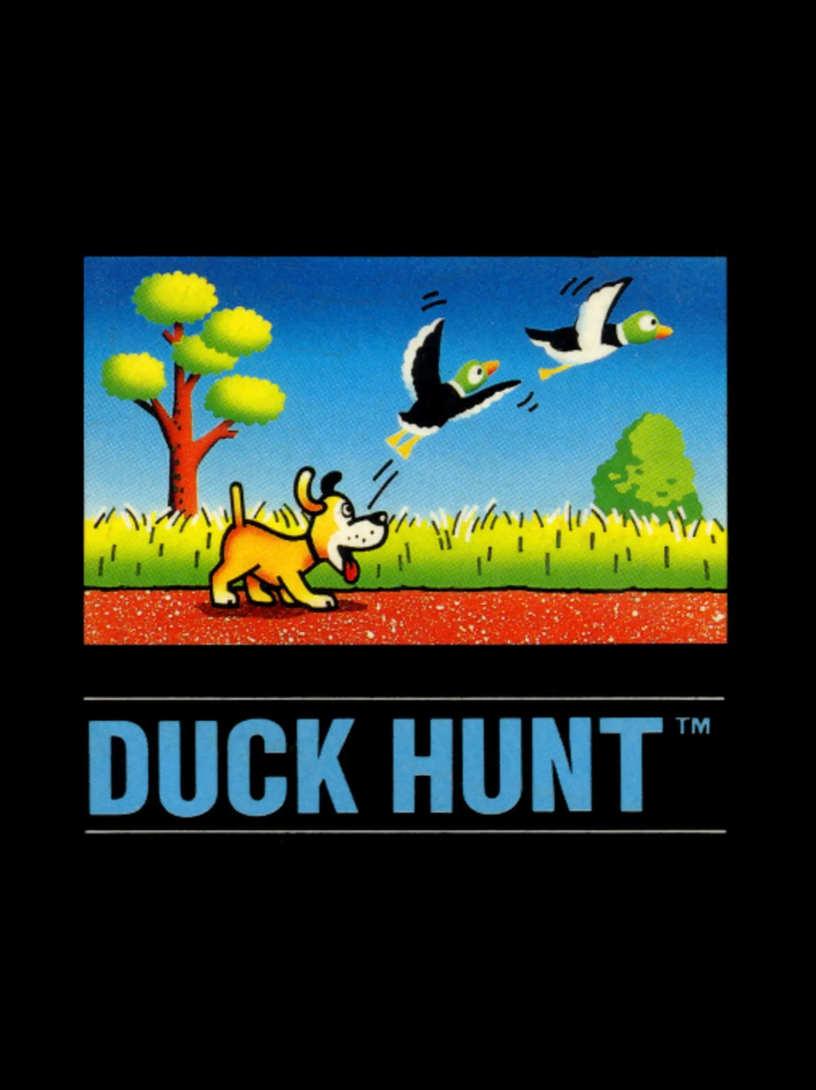 Picture of Duck Hunt (3)