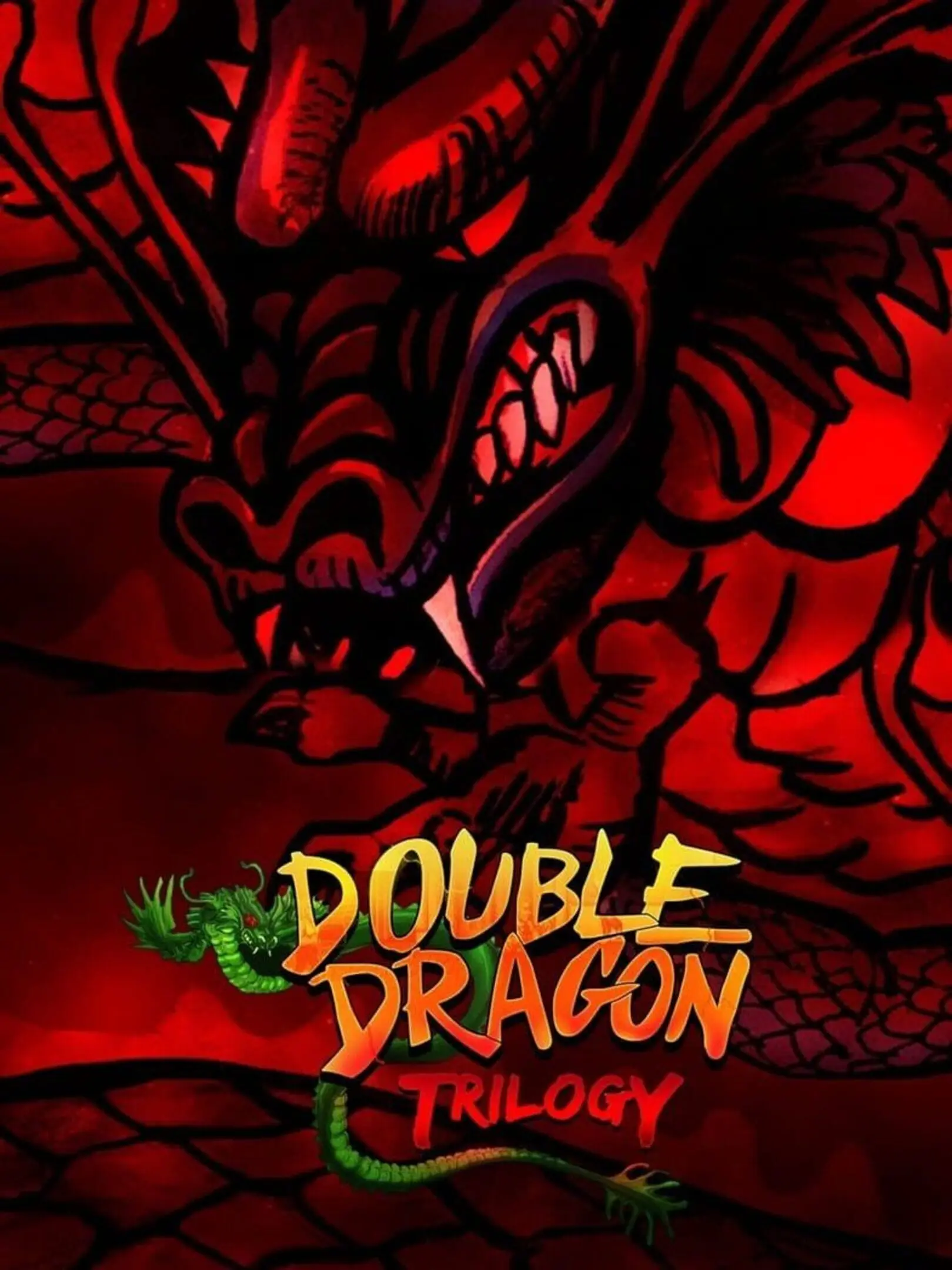 Picture of Double Dragon Trilogy