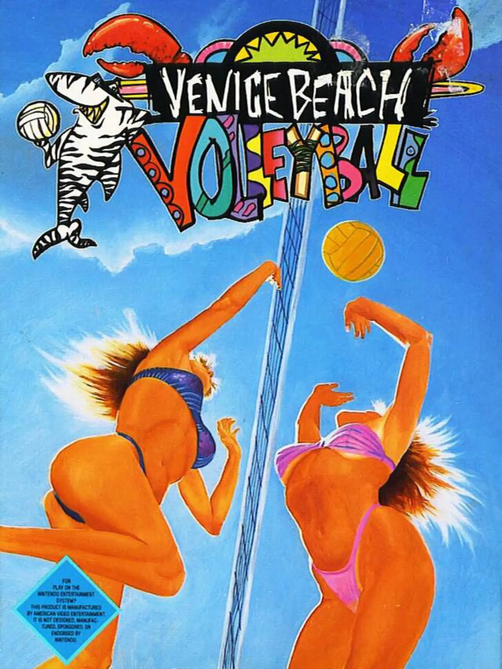 Picture of Venice Beach Volleyball
