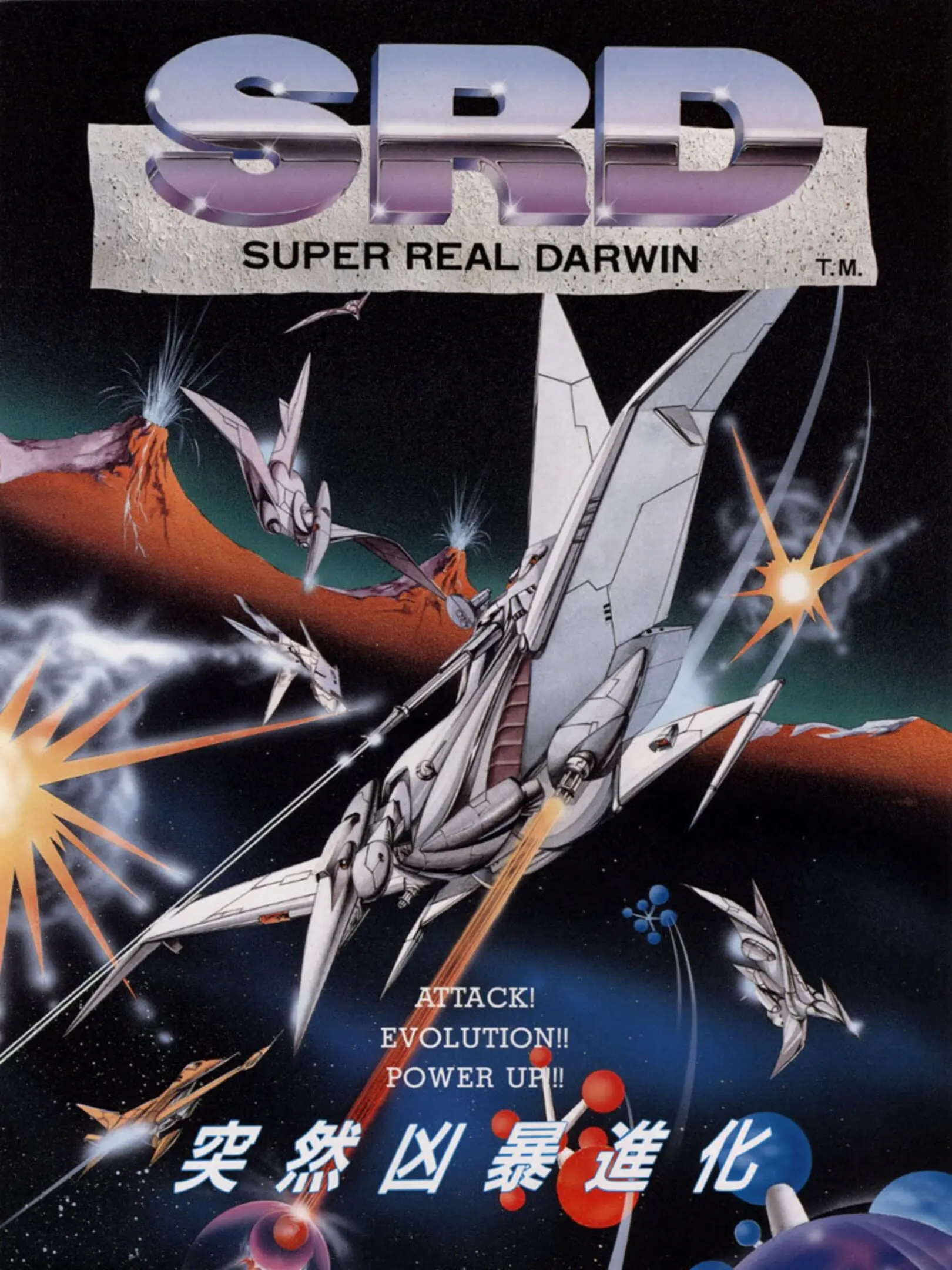 Picture of Darwin 4081