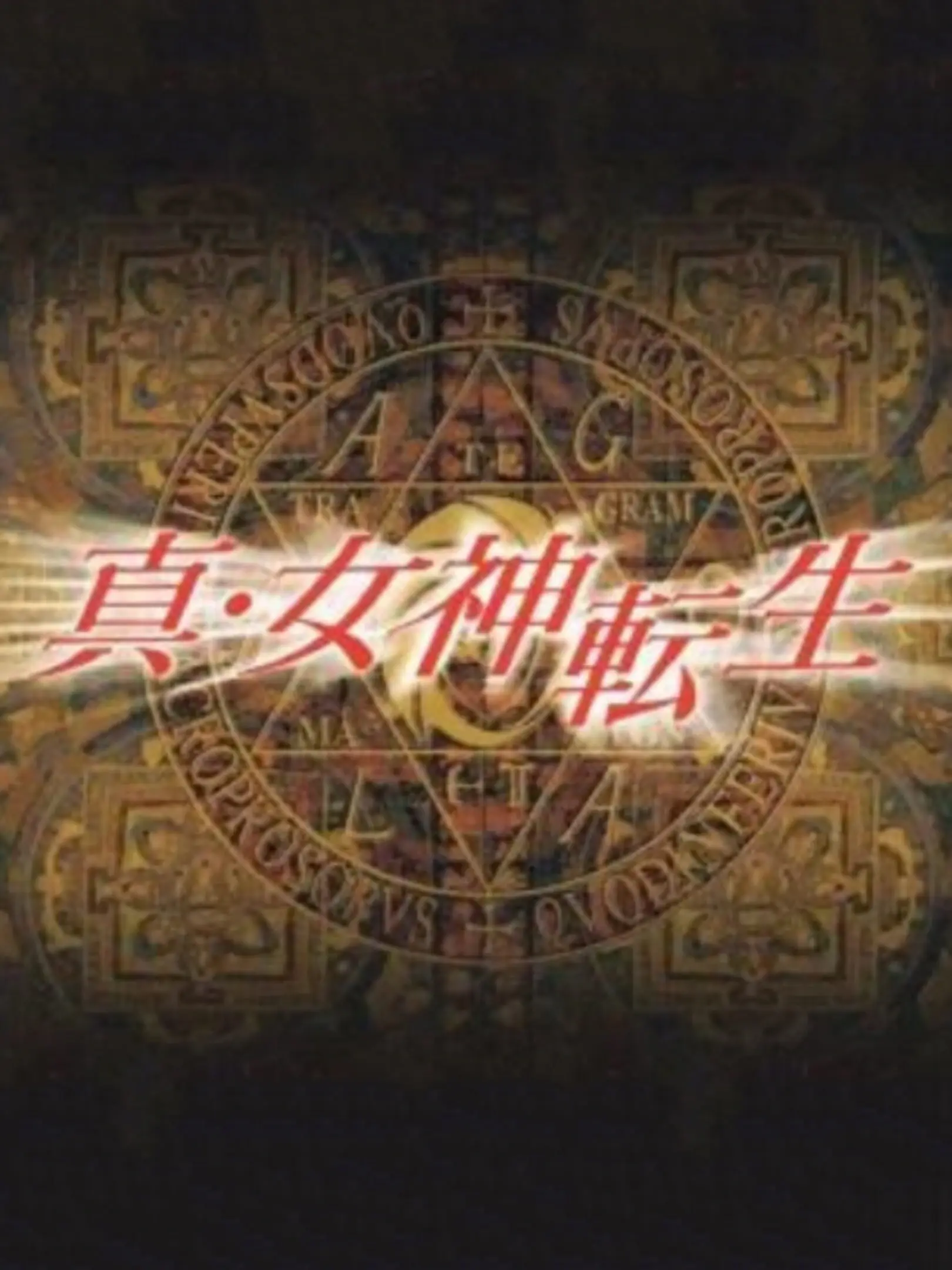 Picture of Shin Megami Tensei