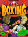Picture of 4D Boxing