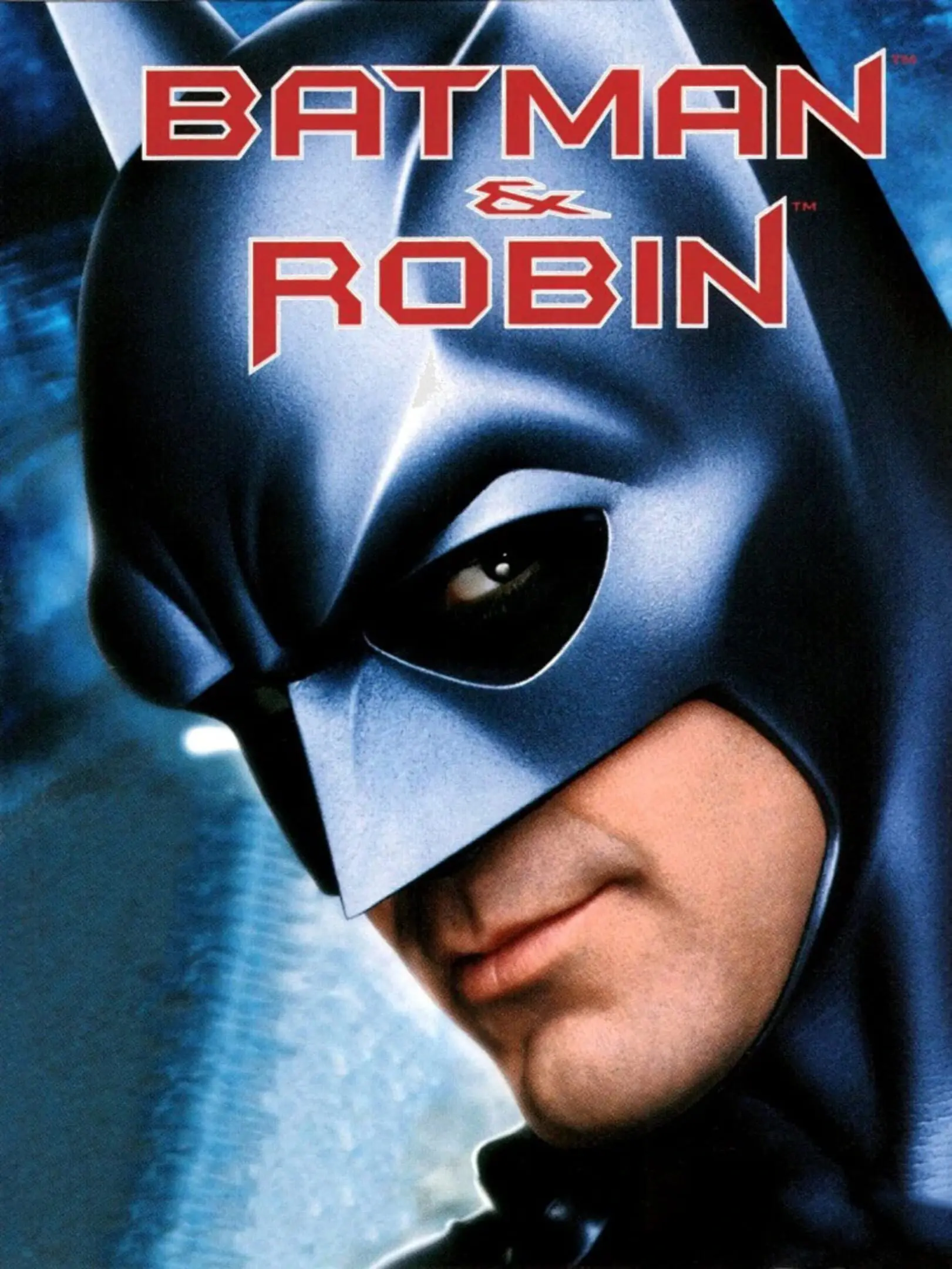Picture of Batman & Robin