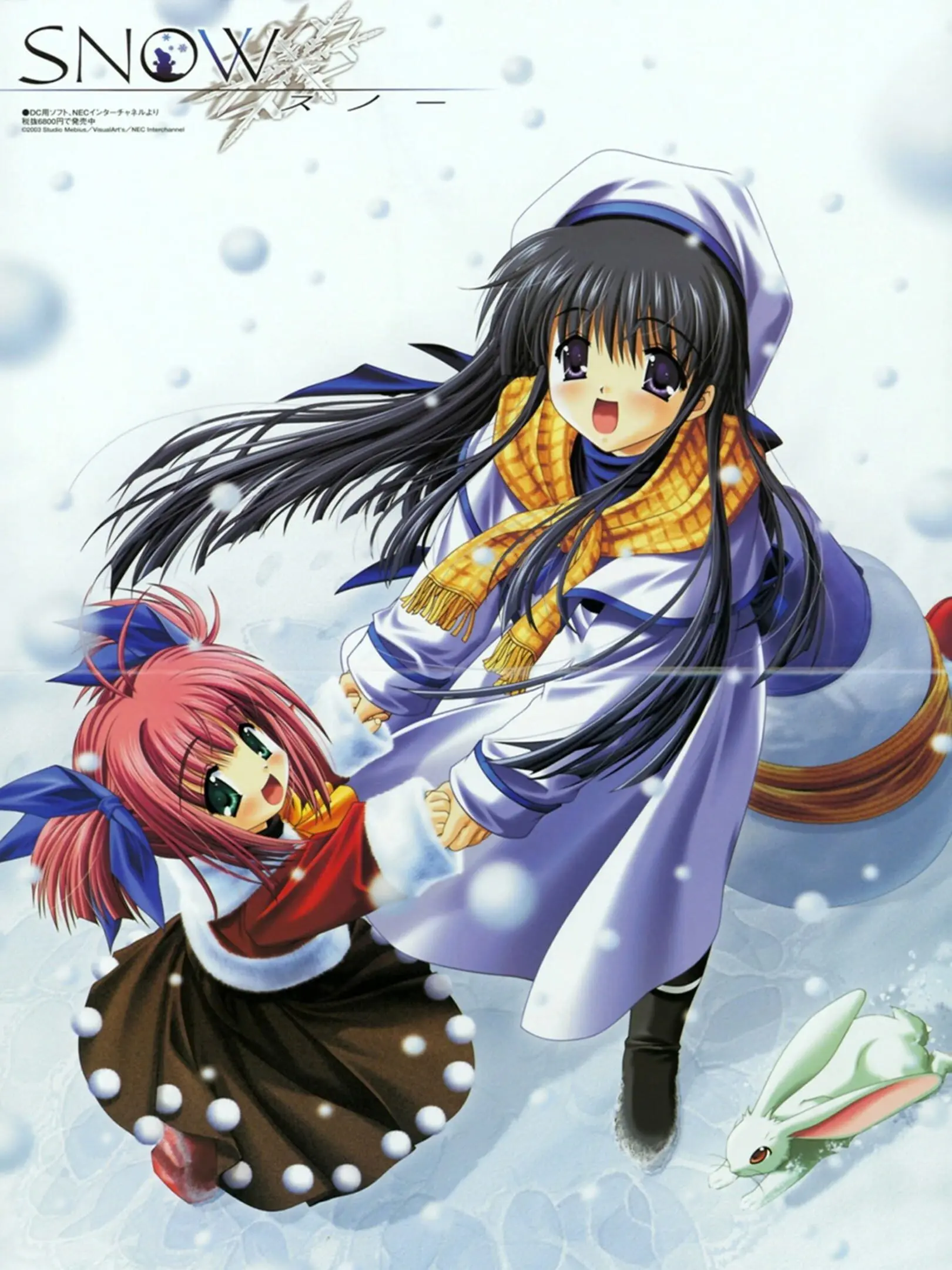 Picture of Snow
