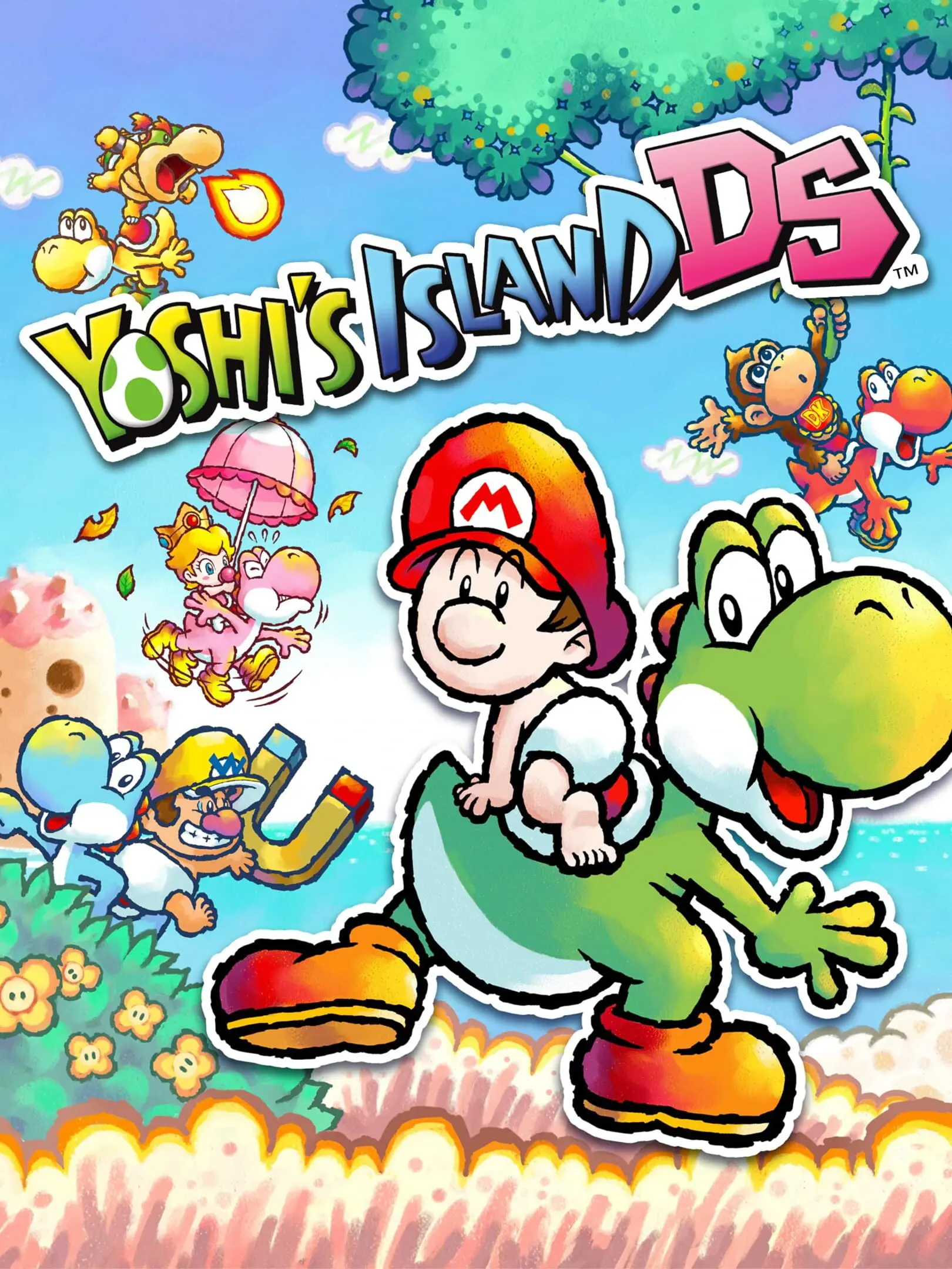 Picture of Yoshi's Island DS