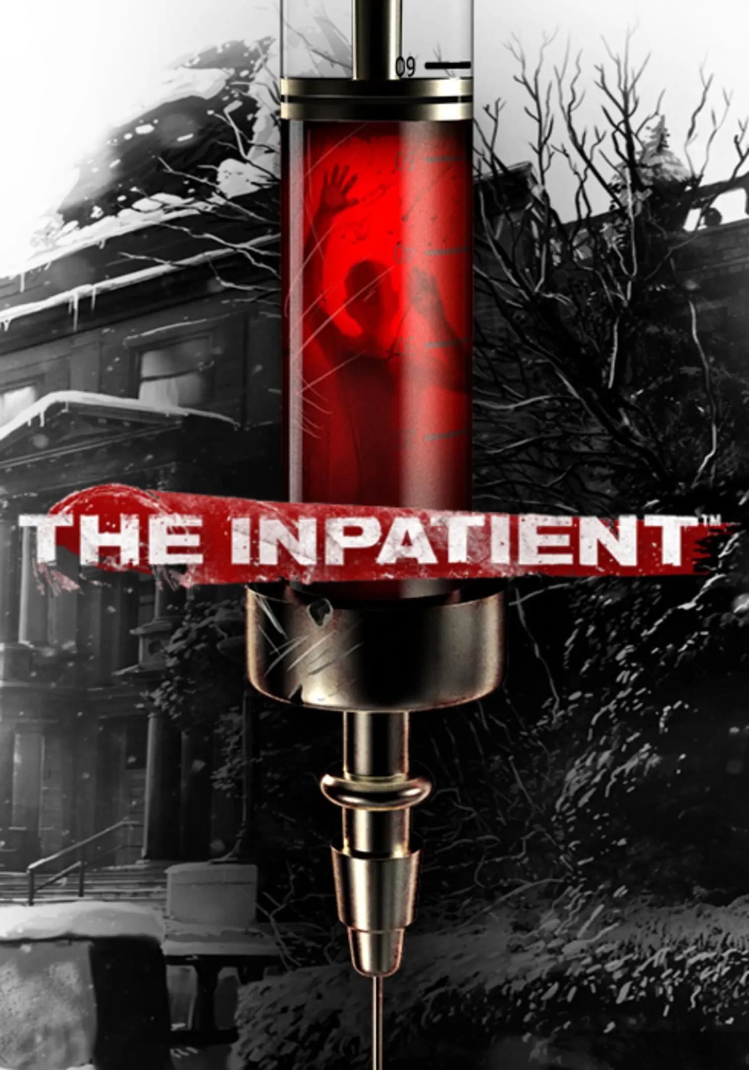 Picture of The Inpatient