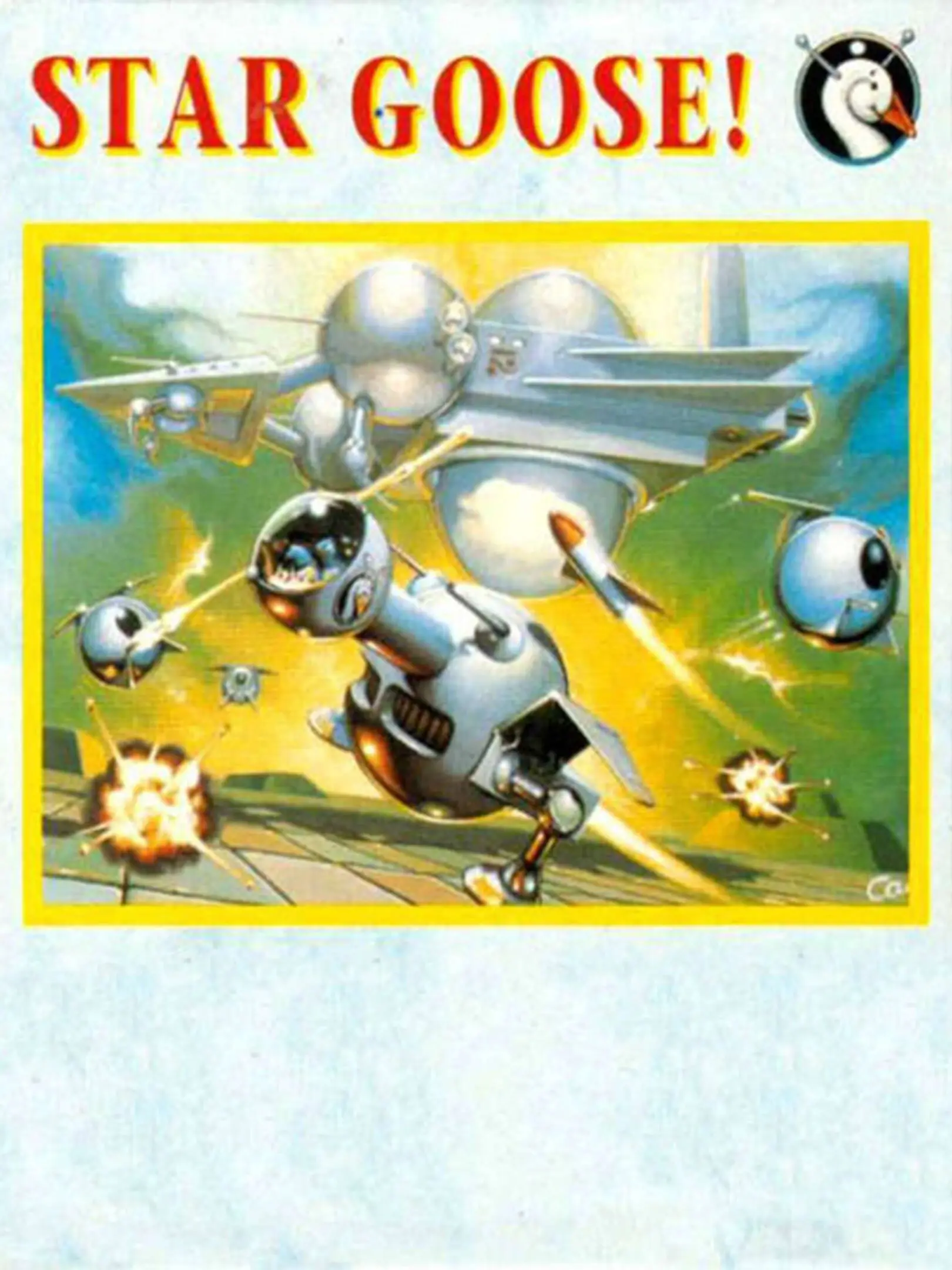 Picture of Star Goose!
