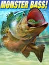 Picture of Killer Bass