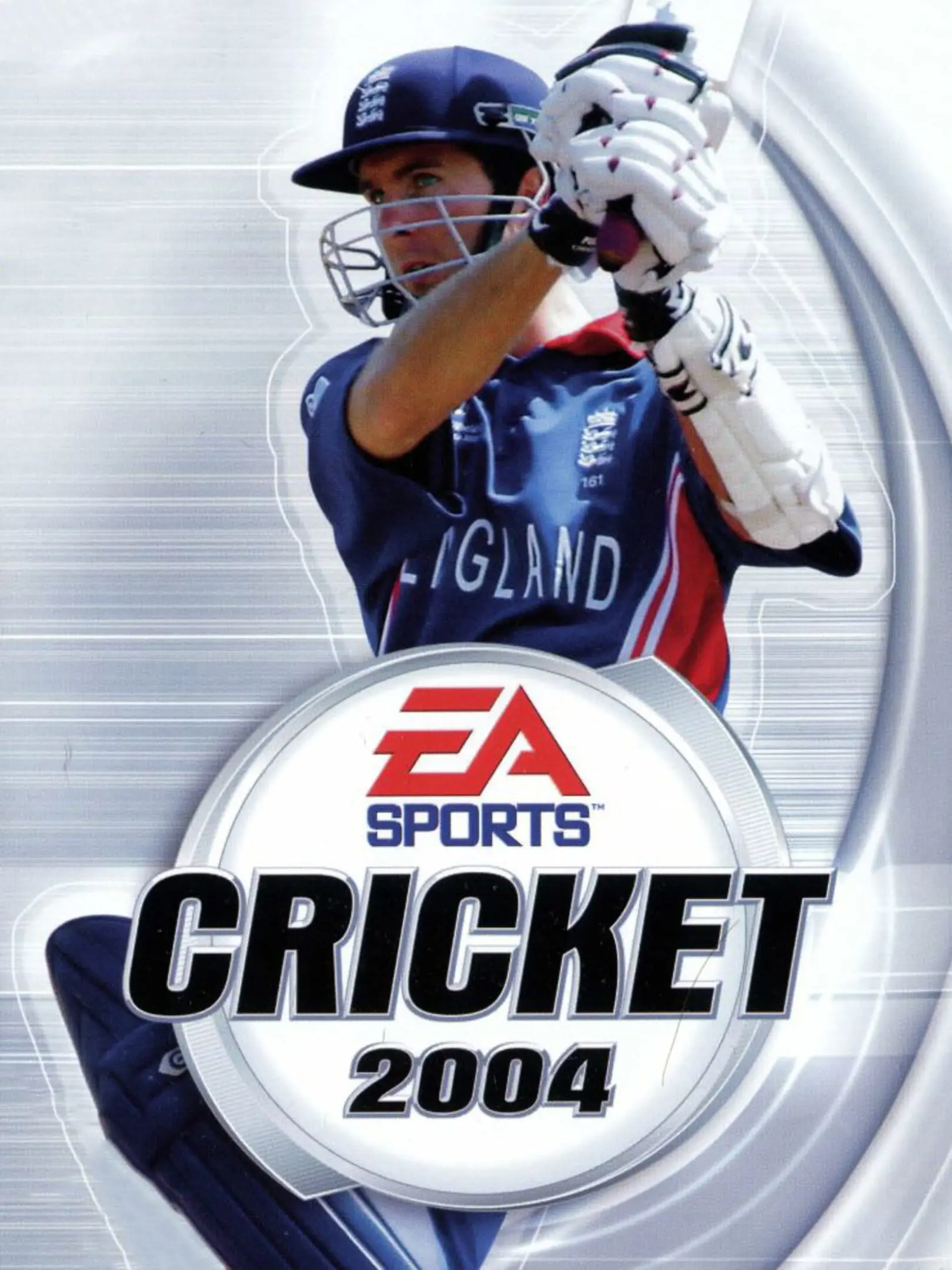 Picture of Cricket 2004
