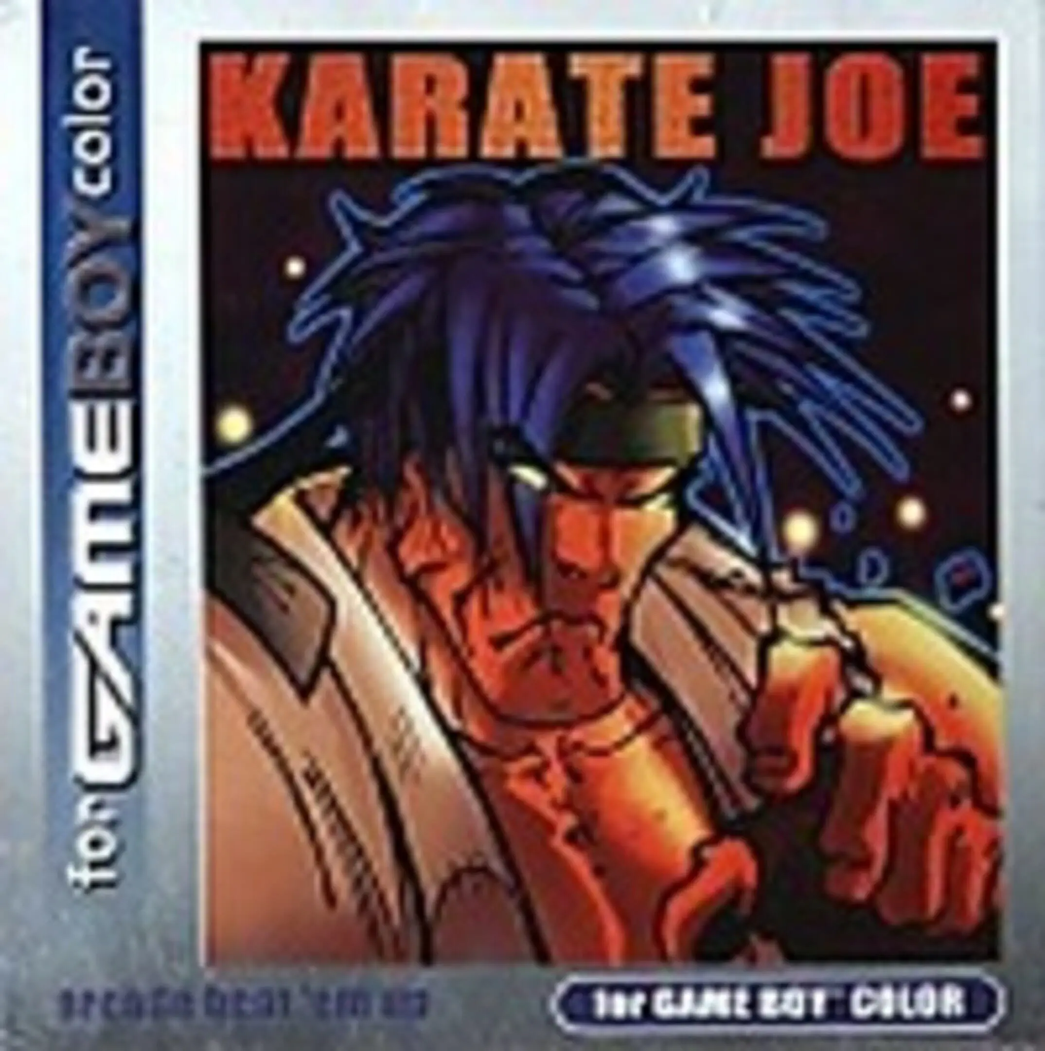 Picture of Karate Joe