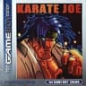 Picture of Karate Joe