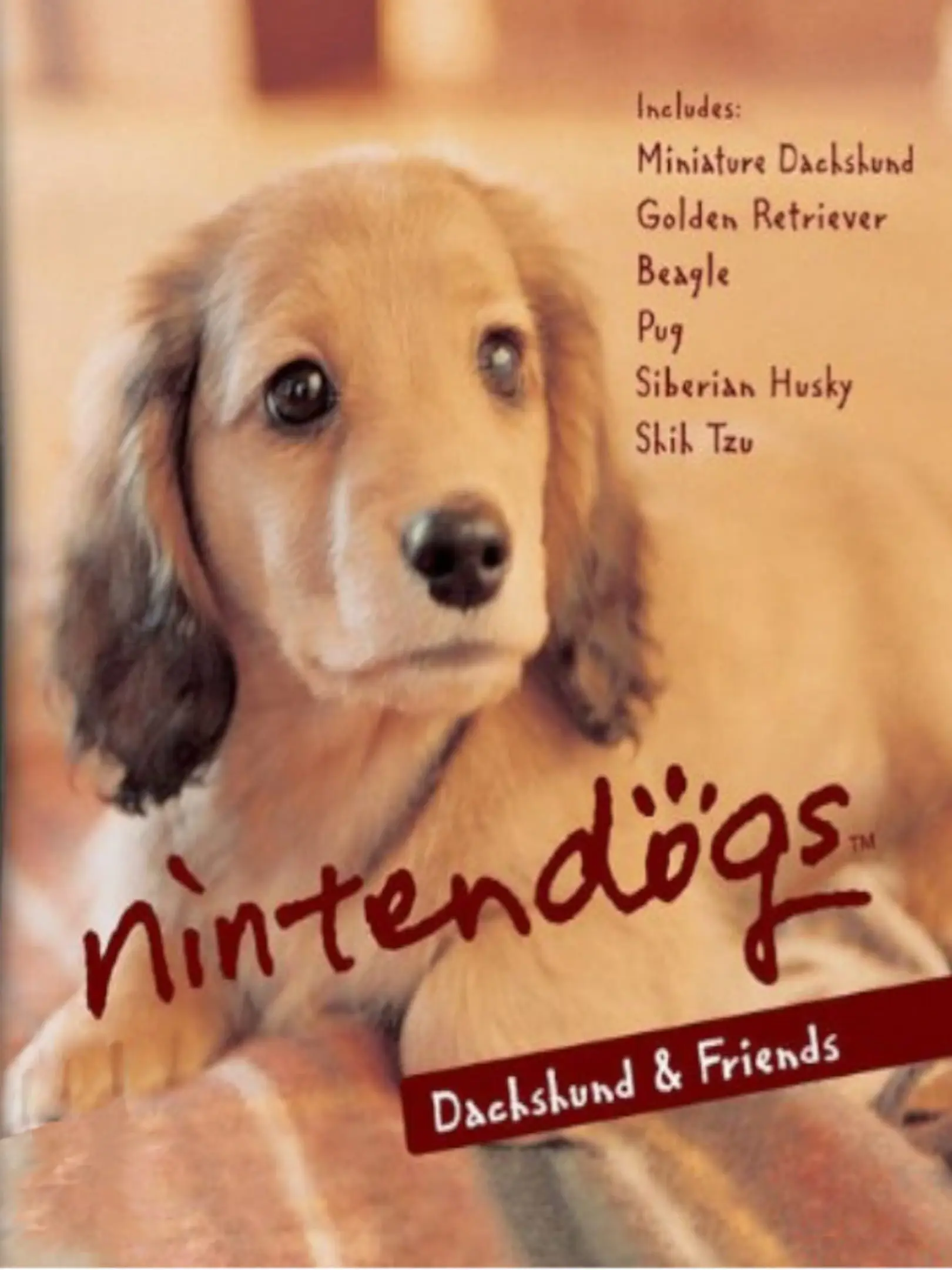 Picture of Nintendogs: Dachshund & Friends