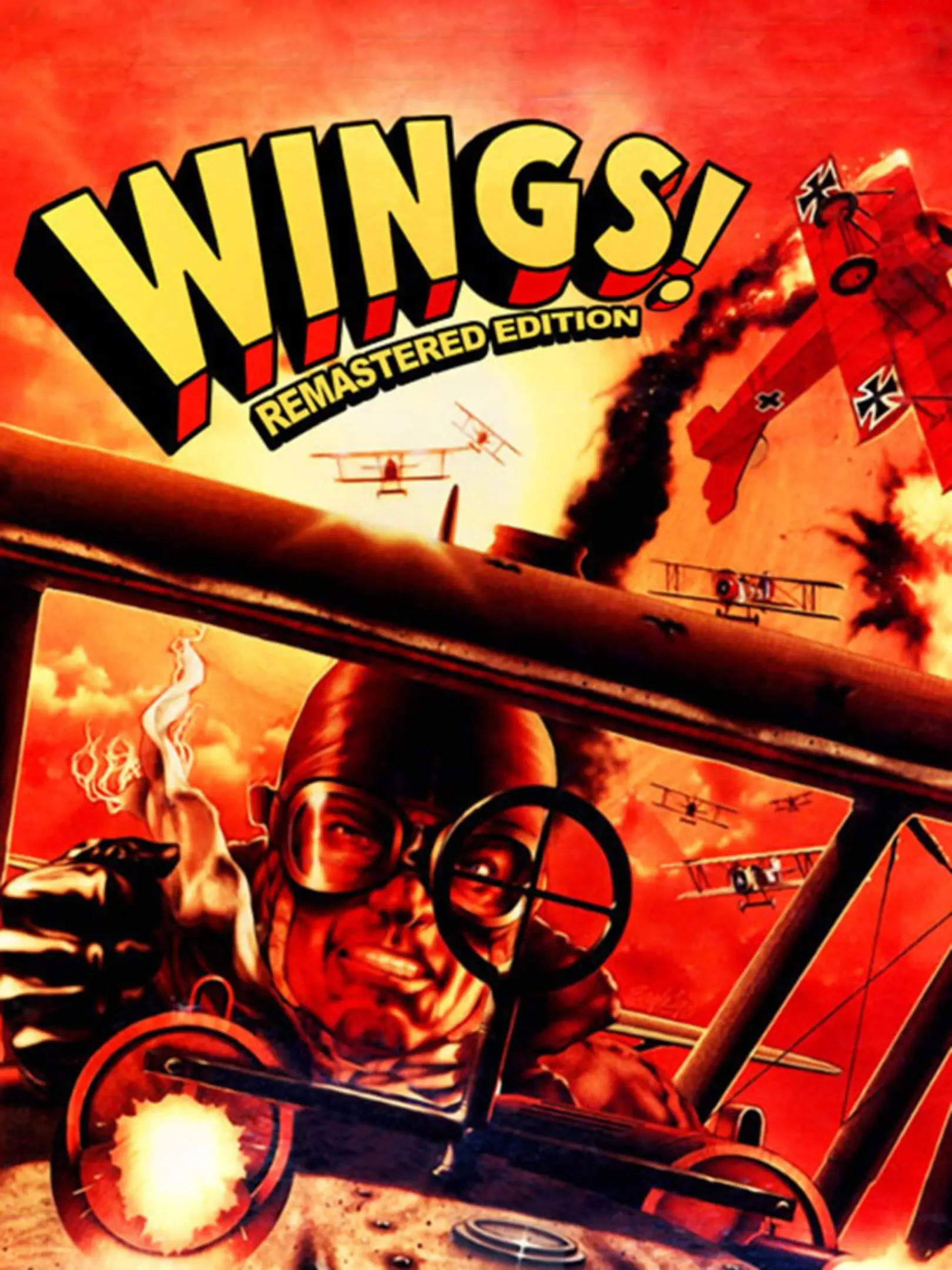 Picture of Wings!