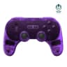 Picture of 8BitDo Pro 2
