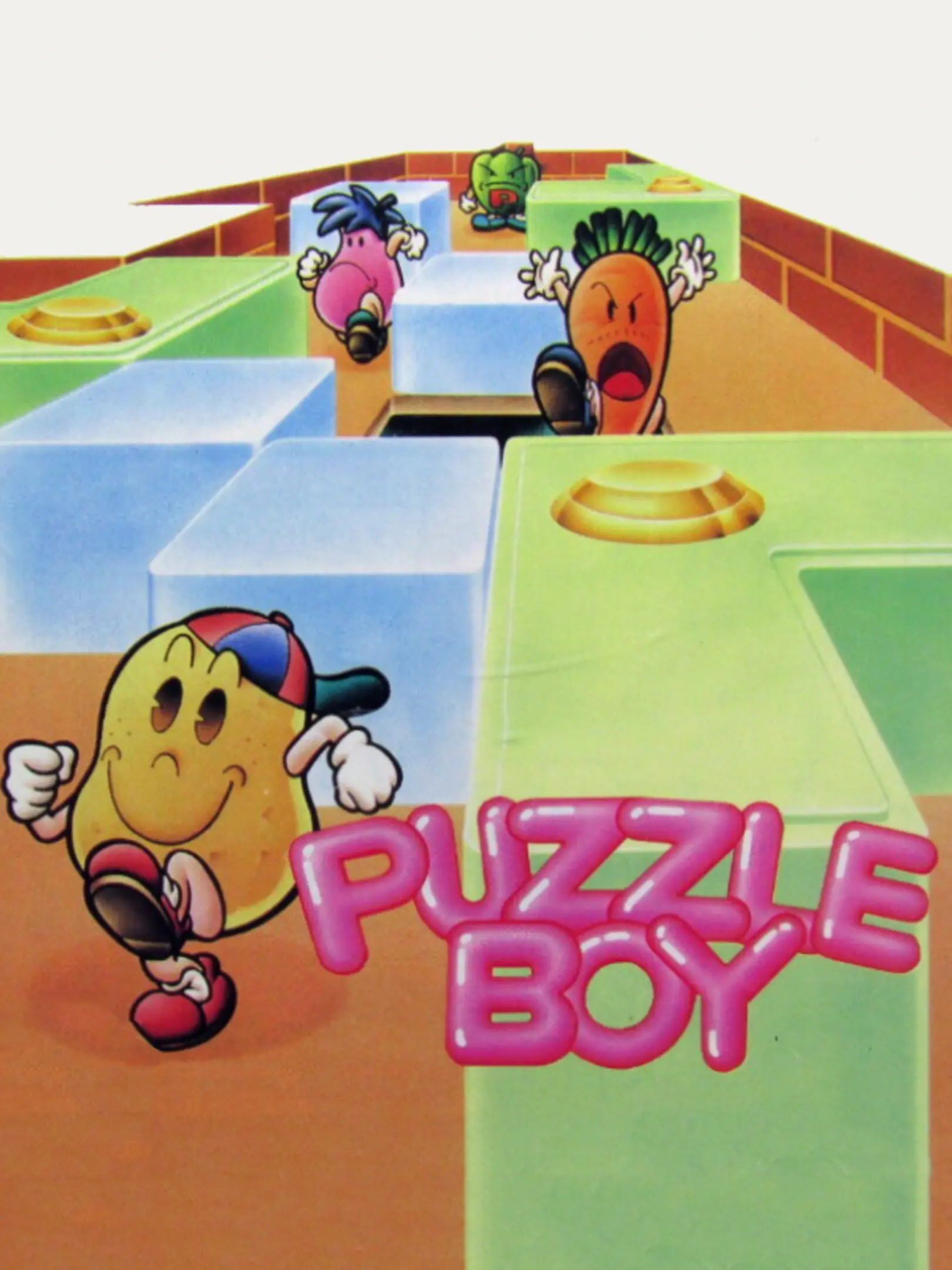 Picture of Puzzle Boy