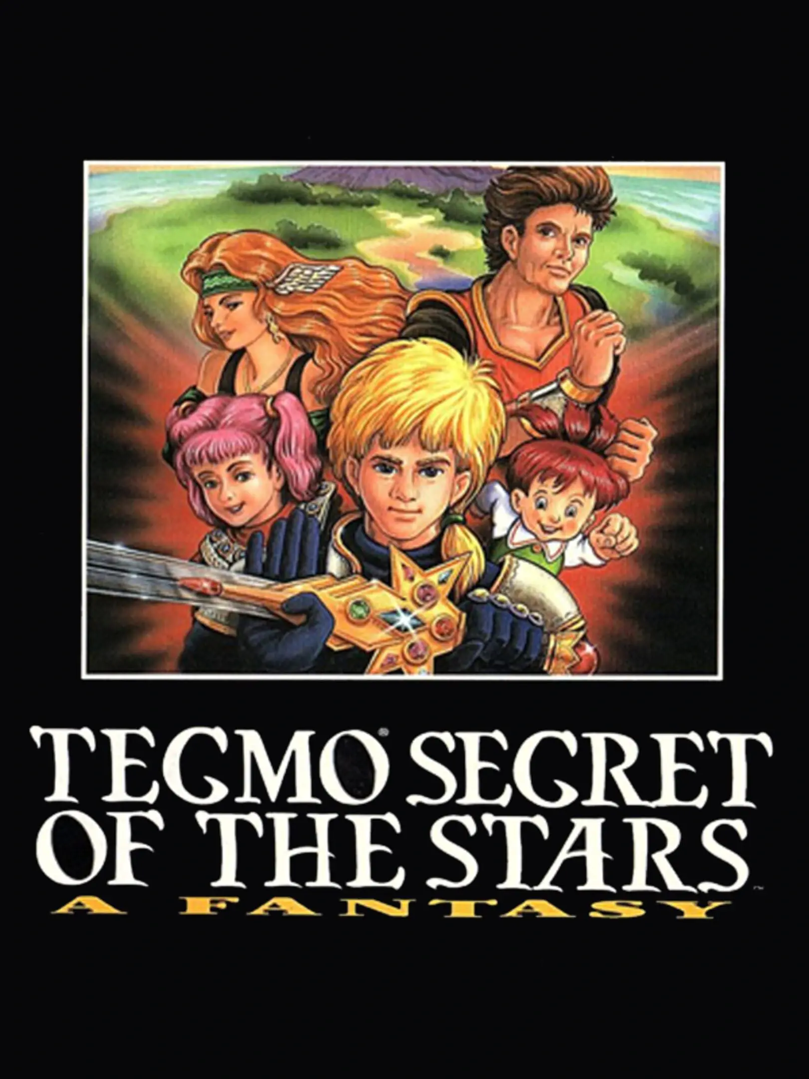 Picture of Tecmo Secret of the Stars